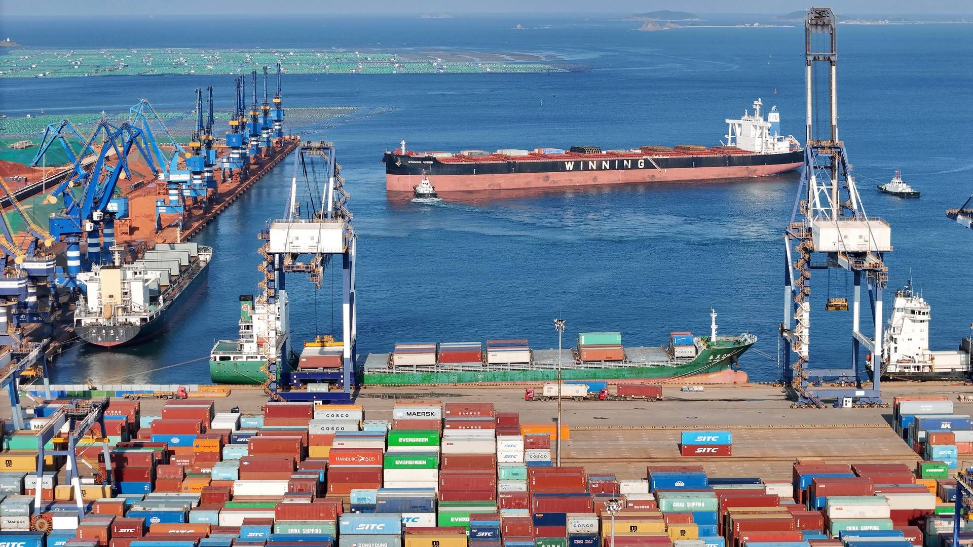 Bimco forventer, at skellet mellem udbud og efterspørgsel i containermarkedet vil fortsætte med at blive større i 2024. | Foto: Uncredited/AP/Ritzau Scanpix