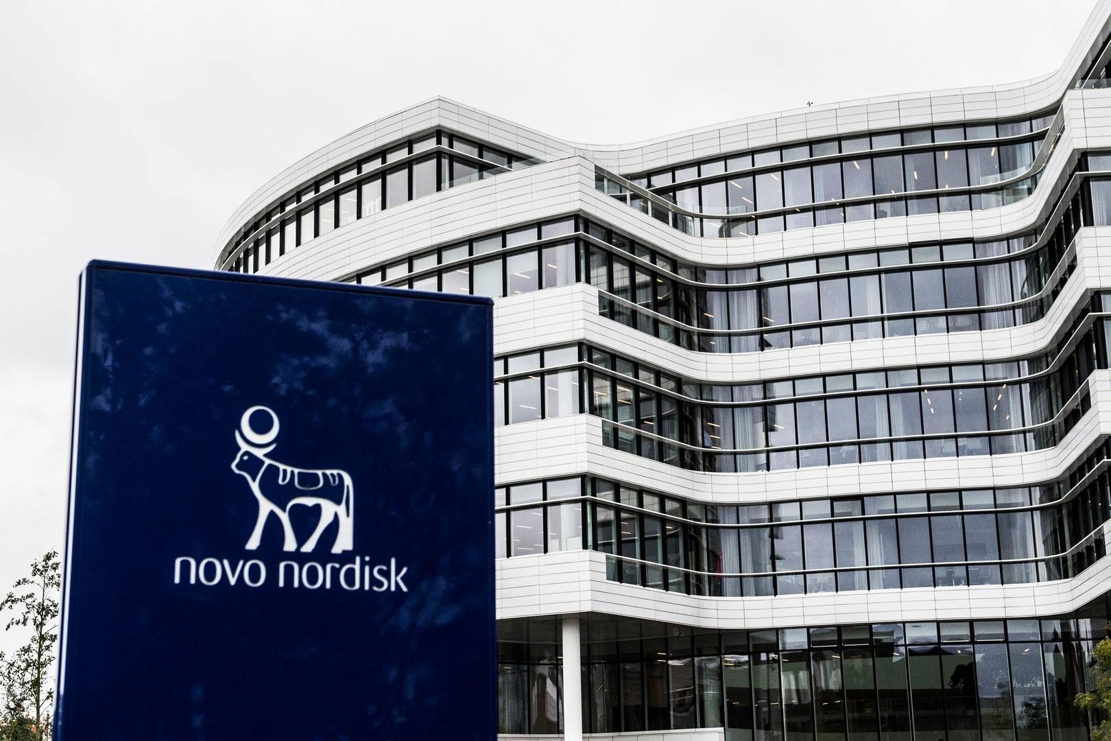 Novo Nordisk to test aquired antibody in heart attacks Novo Nordisk to test aquired antibody in heart attacks