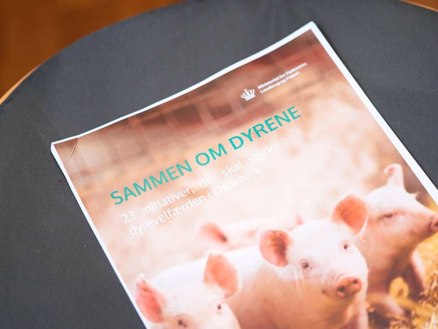 L&F bakker op om ministerens udspil. | Foto: Ida Marie Odgaard/Ritzau Scanpix