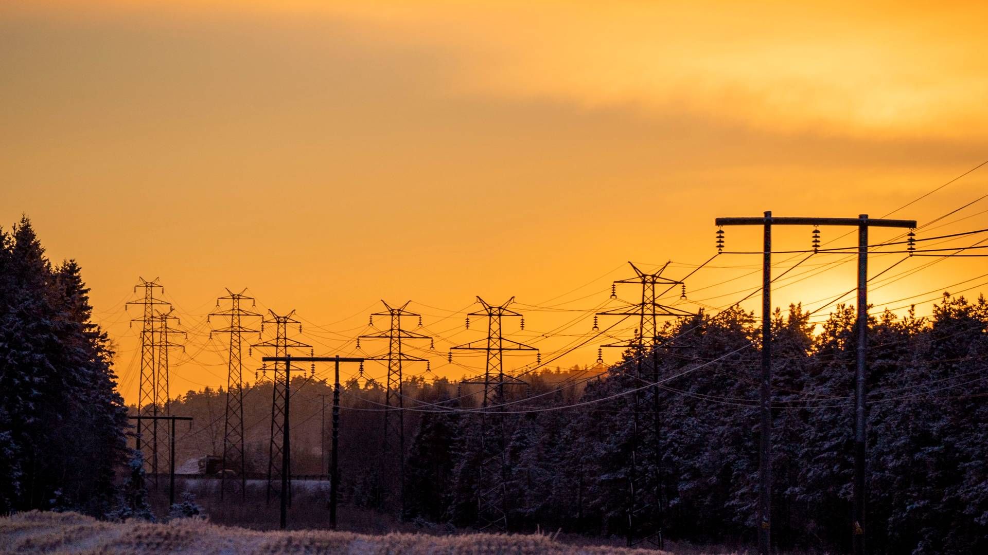 KRAFTSITUASJONEN: En rapport fra NVE viser at mye vind og lavt forbruk førte til lavere strømpriser i julen. | Foto: Håkon Mosvold Larsen / NTB