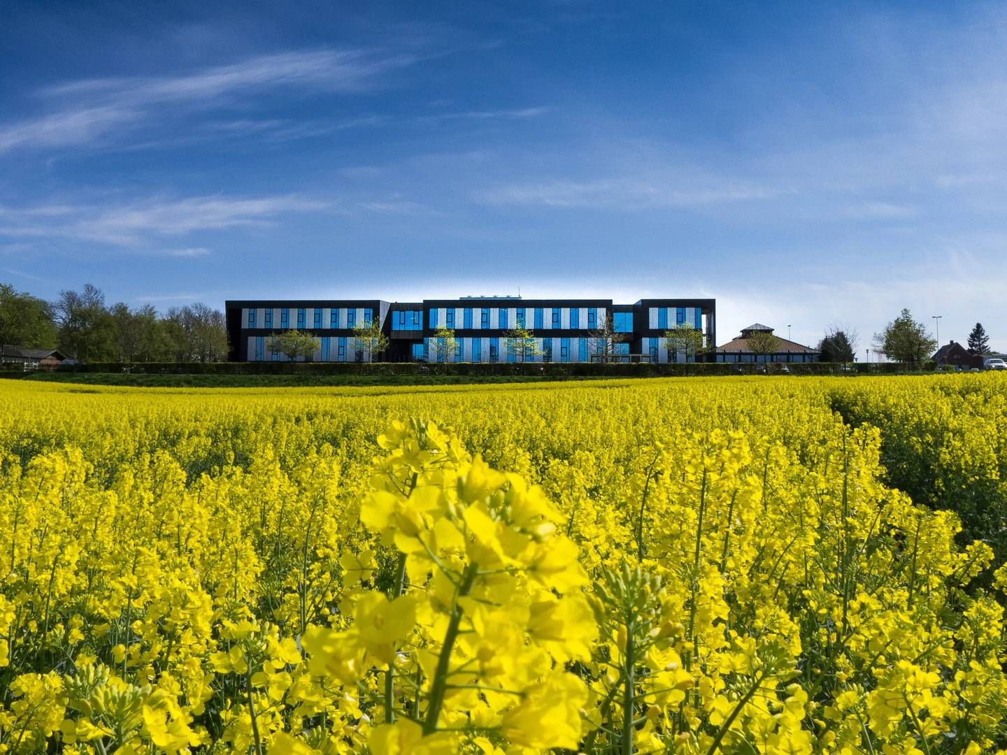 DAB har haft medvind på handelsmarkederne i slutningen af 2023. | Foto: Pr / Dab