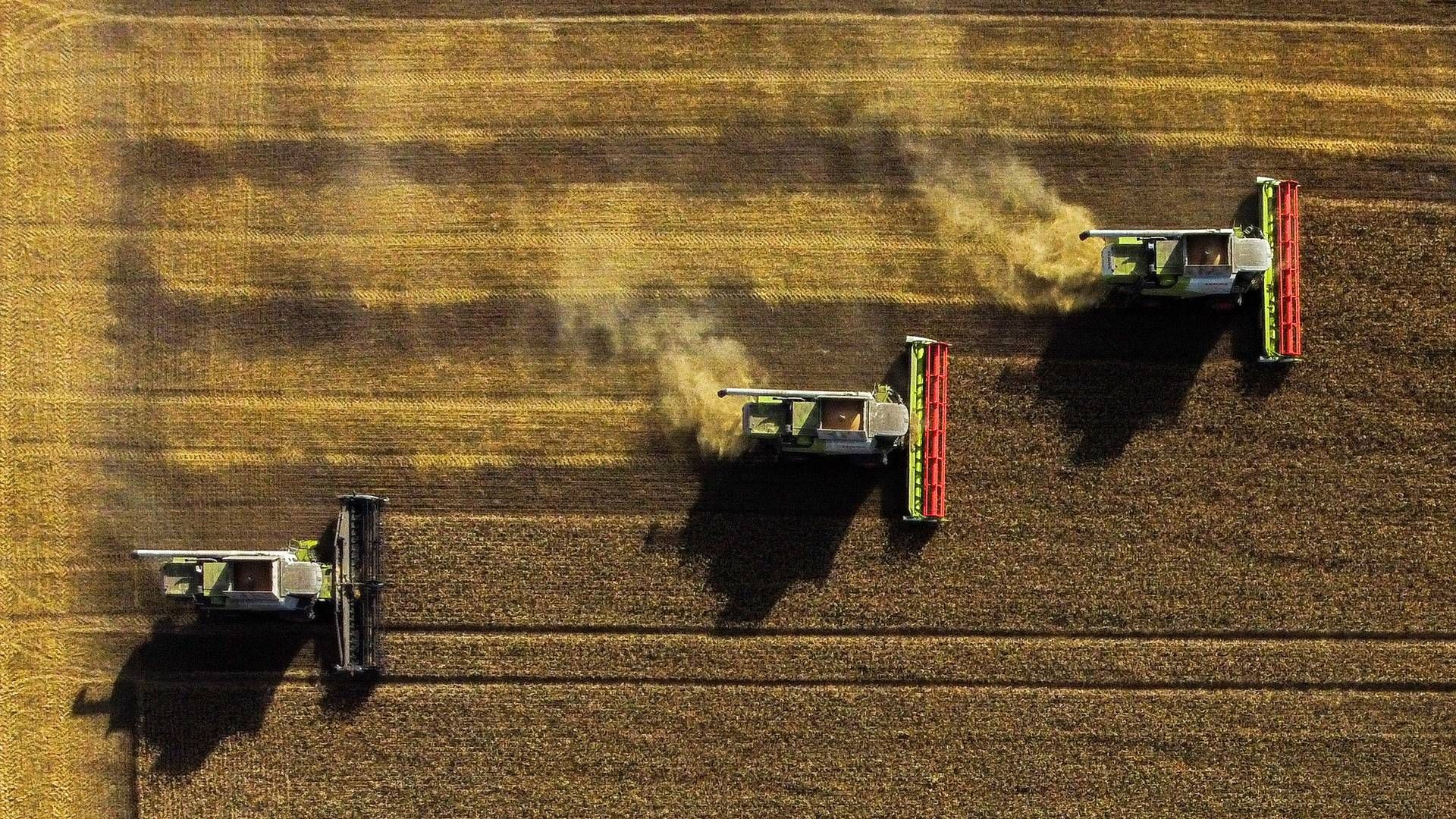 Landmænd må beslutte, om de vil forsøge at genså på de hårdt ramte marker. Arkivfoto. | Foto: Alexey Malgavko/Reuters/Ritzau Scanpix
