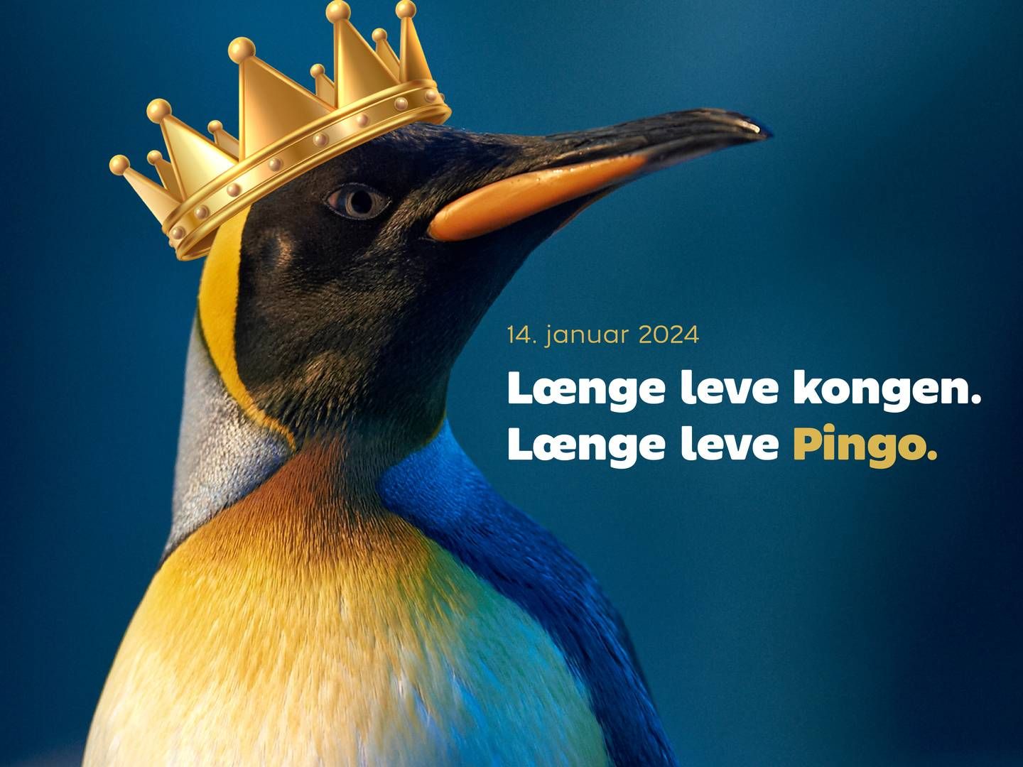 Odense Zoo med et aktuelt newsjacking-indspark i strømmen af lykønskninger til Danmarks nye konge. | Foto: PR