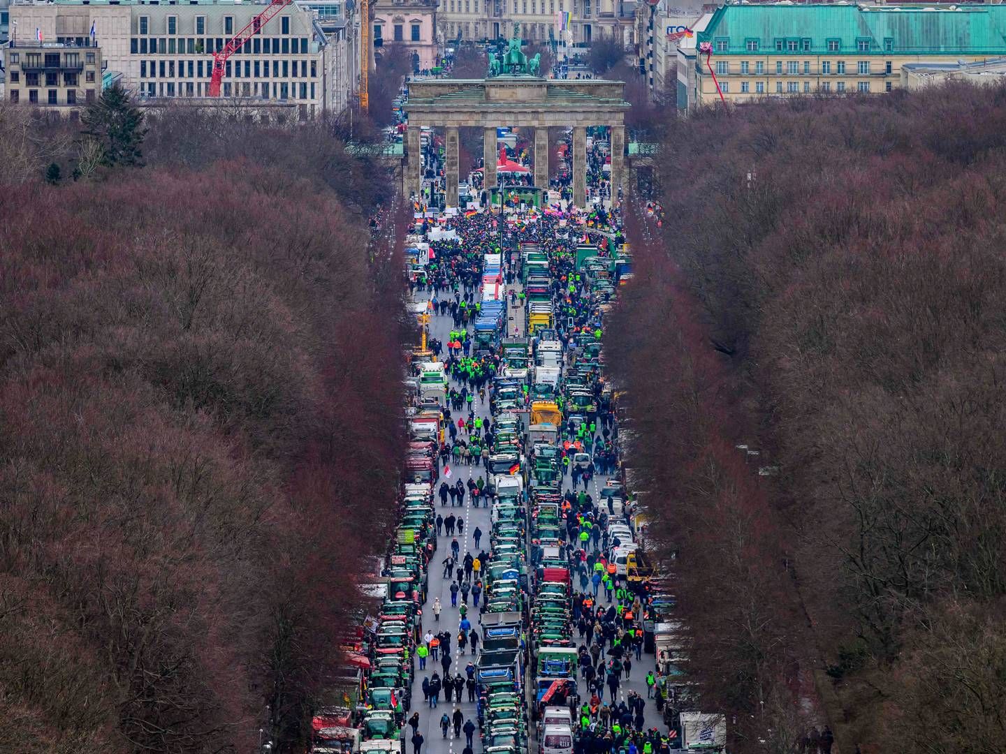 Mandag demonstrerede tyske landmænd ved Brandenburger Tor i Berlin. | Foto: John Macdougall/AFP/Ritzau Scanpix