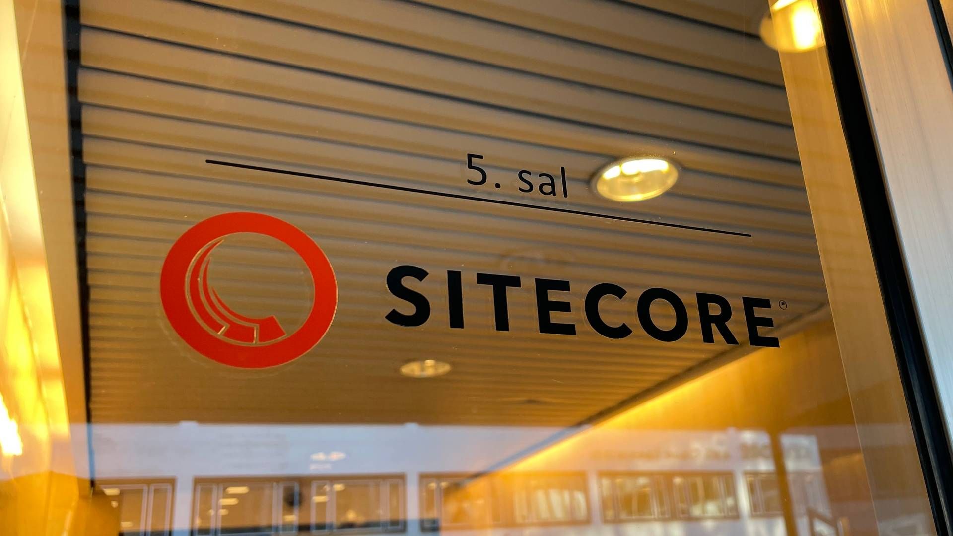 Sitecore, der blev stiftet i 2001, er i dag en international koncern med omkring 30 kontorer over hele verden. Et af dem ligger i København, hvor koncernselskabet, Sitecore Holding II, er registreret | Foto: Watch Medier