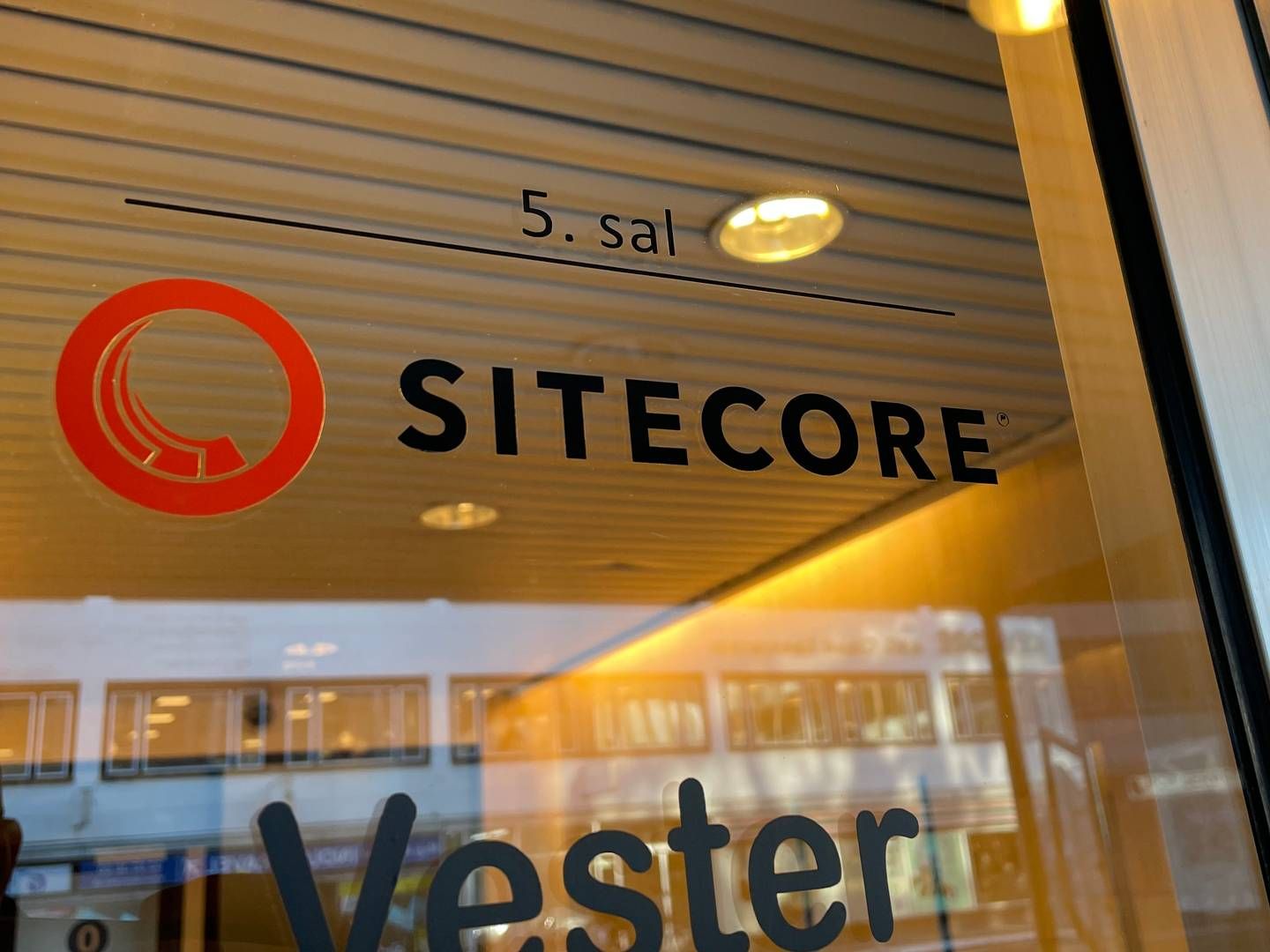 Sitecore, der blev stiftet i 2001, er i dag en international koncern med omkring 30 kontorer over hele verden. Et af dem ligger i København, hvor koncernselskabet, Sitecore Holding II, er registreret | Foto: Watch Medier