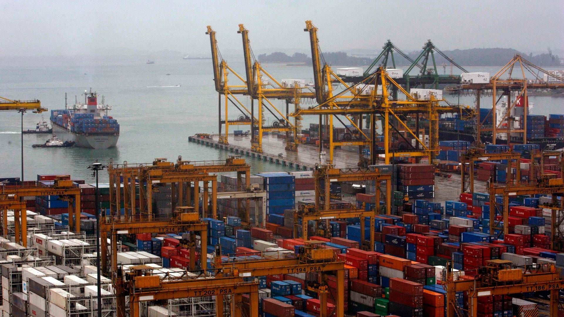 Med nye rekorder i skibsanløb, containergennemstrømning, bunkersalg og tonnageregistrering blev 2023 et år med betydelige resultater i The Port of Singapore. | Foto: Nicky Loh/Reuters/Ritzau Scanpix