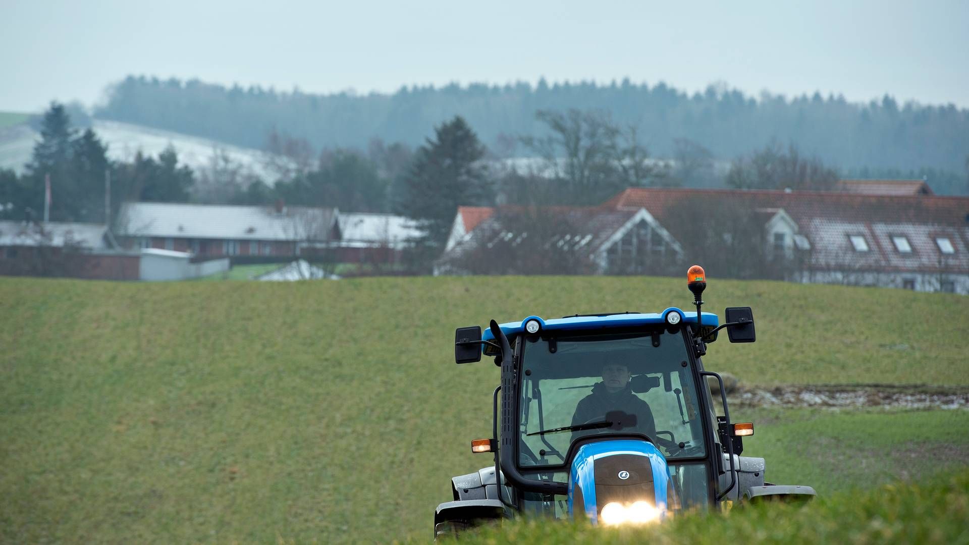 Foto: Lars Krabbe/Jyllands-Posten/Ritzau Scanpix