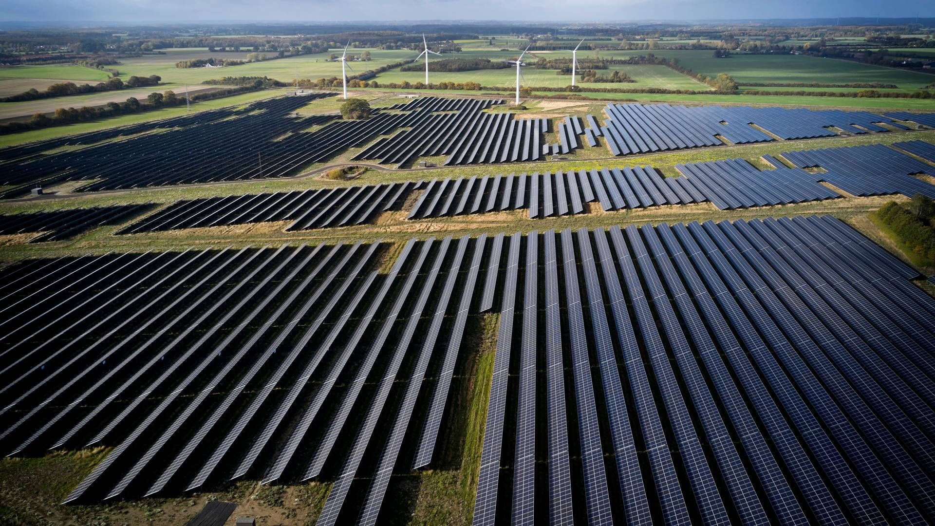 Better Energy vil bygge en række solcelleparker i Sydvestjylland. Foto: Jens Dresling/Ritzau Scanpix