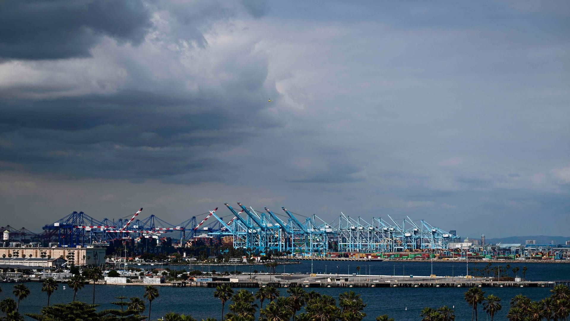 Containerhåndtering i Havnen i Los Angeles i juni 2023. | Foto: Patrick T. Fallon