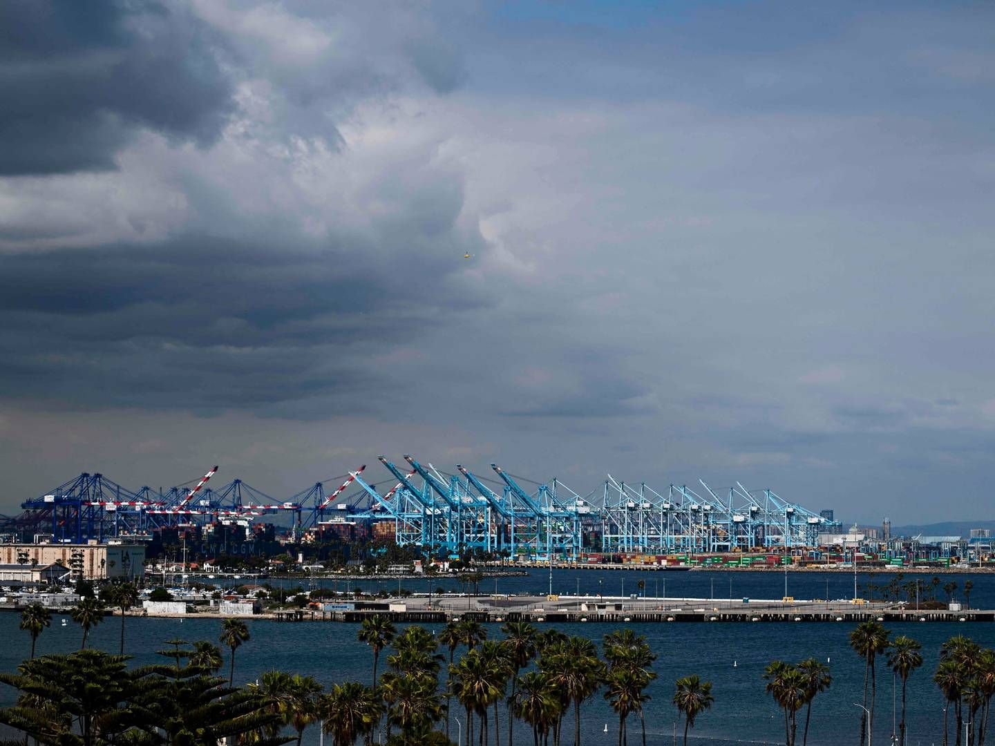 Containerhåndtering i Havnen i Los Angeles i juni 2023. | Foto: Patrick T. Fallon