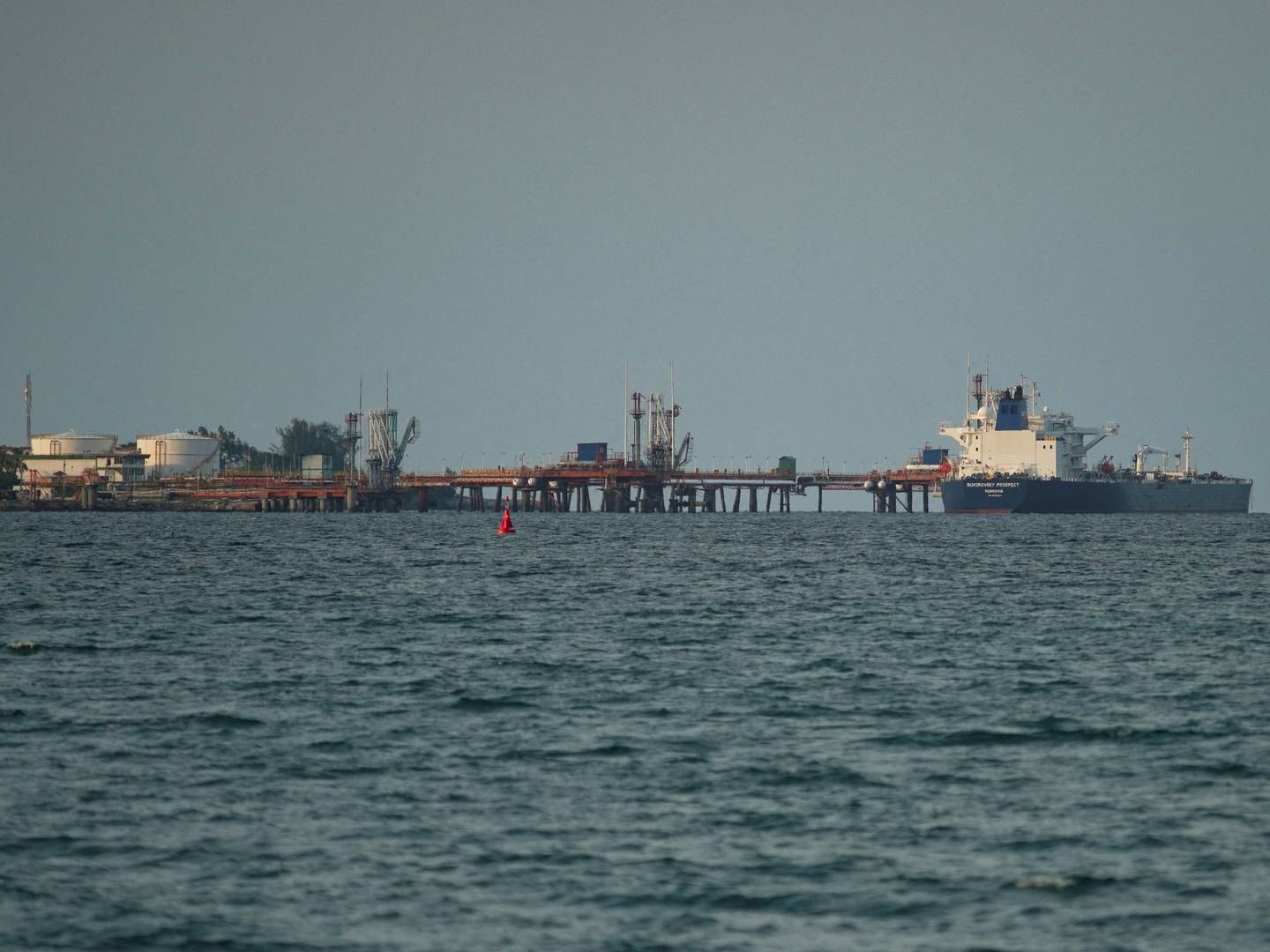 Tanskib fragter russisk olie, der er pålagt sanktioner som følge af Ruslands invasion af Ukraine. | Foto: Alexandre Meneghini/Reuters/Ritzau Scanpix