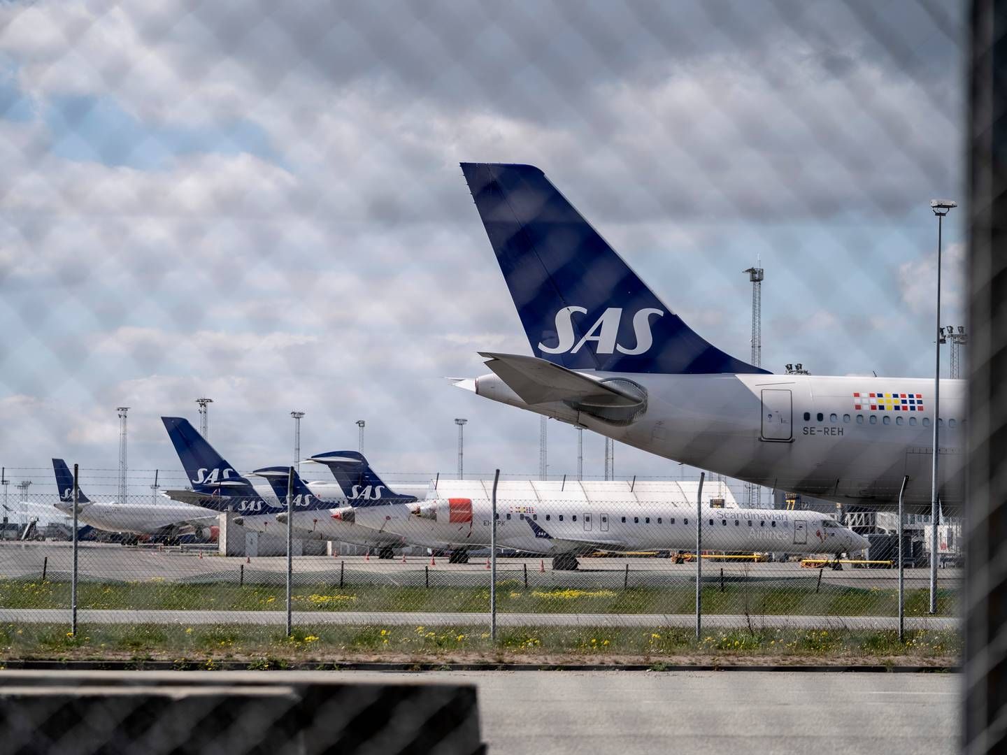 SAS har kontaktet sin leverandør. | Foto: Tariq Mikkel Khan