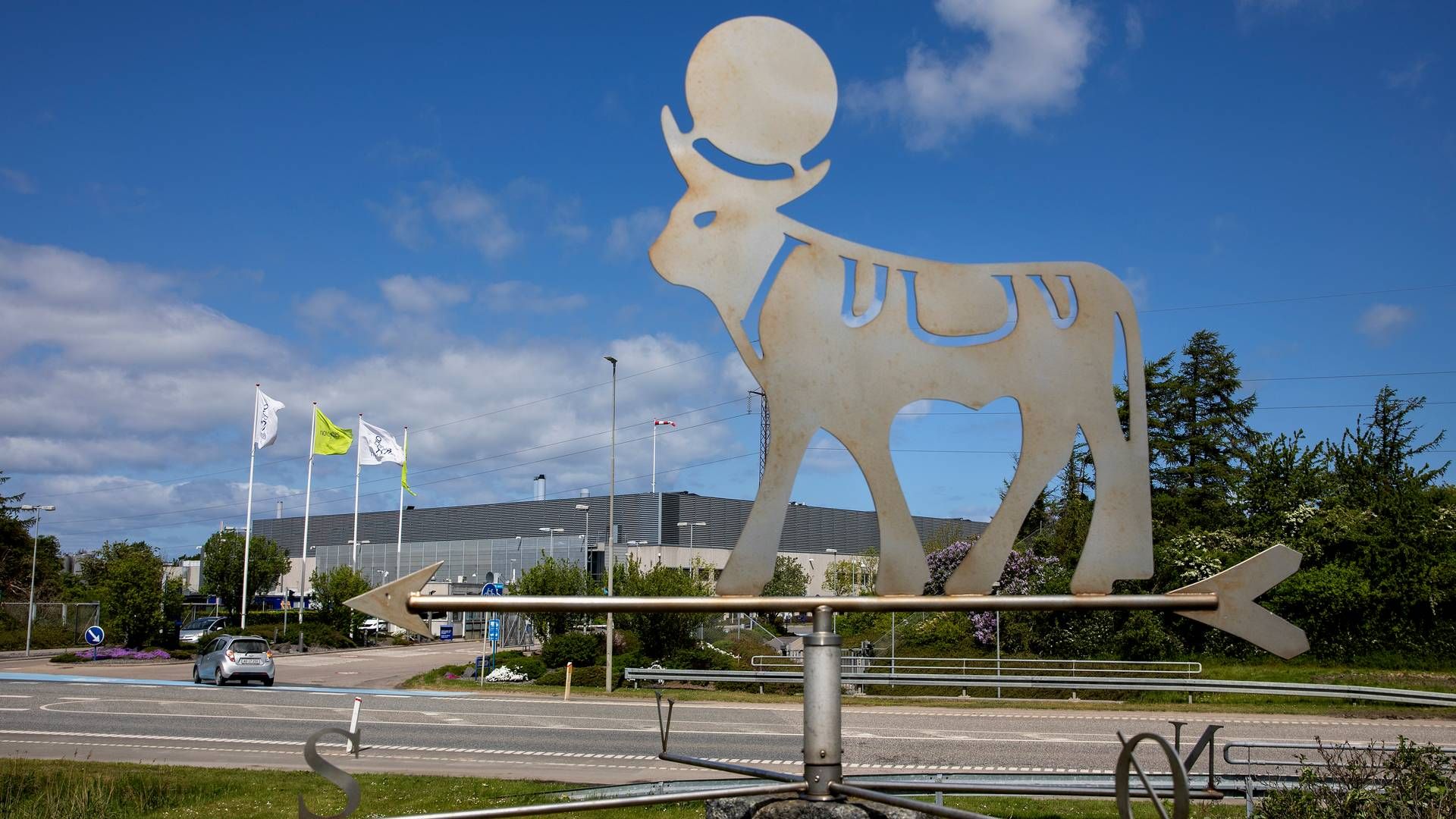 Novo Nordisk i Kalundborg. | Foto: Finn Frandsen