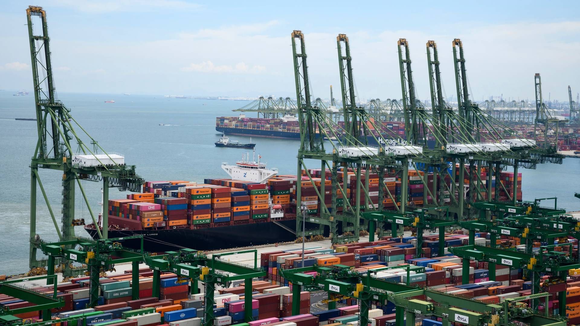 Containere stablet i Port of Singapore, der også er en af verdens største containerhavne og et knudepunkt for den globale bunkerhandel. | Foto: Bernd Von Jutrczenka/AP/Ritzau Scanpix