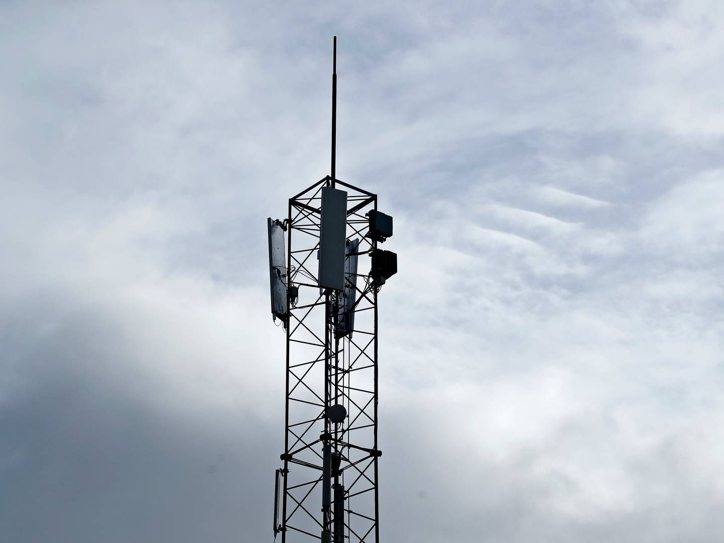 Telia og det mindre selskab Maxtel, der henvender sig til erhvervskunder, har ventet i flere år på en endelig afgørelse på deres strid om udlevering af nummeroplysningsdata. Nu har konkurrenten Telenor meldt sin støtte til Telia | Foto: Jens Dresling