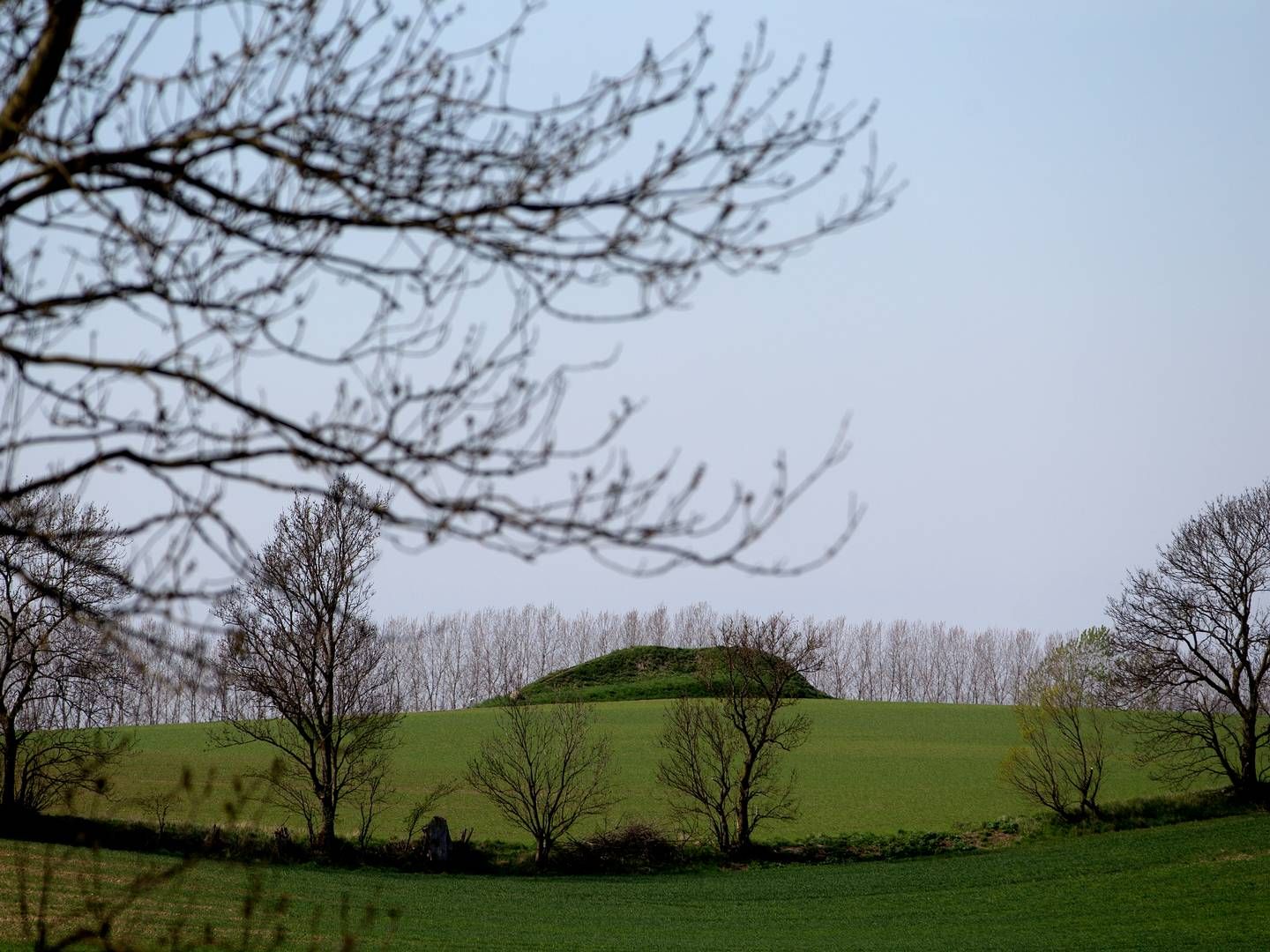 Landbrugsstøtten, kaldet CAP, er en væsentlig post i EU-budgettet. Nu indleder ministre og EU-ansatte dialogen om linjerne for støtten efter 2027. | Foto: Peter Hove Olesen