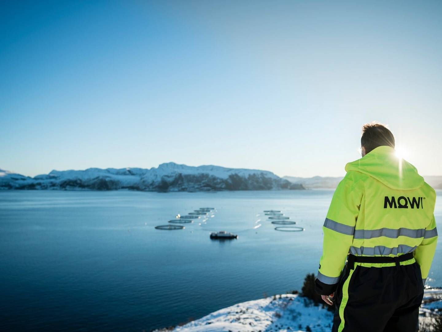 Mowi og fem andre af de største lakseselskaber i Norge er endt i strid med EU. Milliardbøder venter måske. | Foto: Mowi/pr