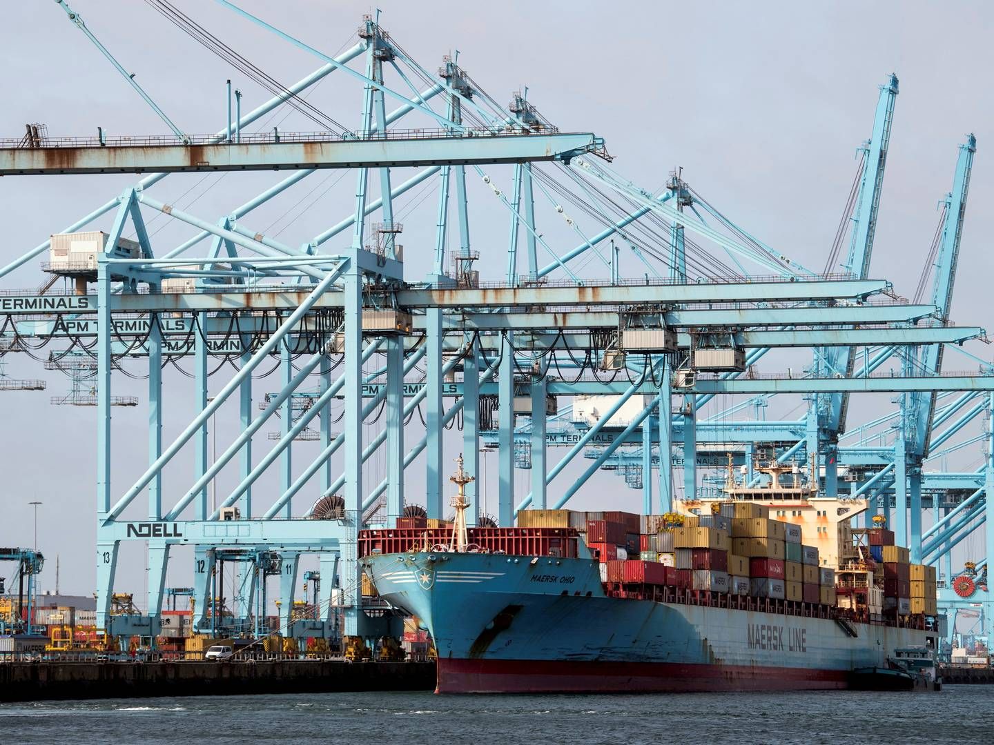 Der har i 2023 været 20 pct. flere lækager i havnen, hvilket løber op på 216 udslip. | Foto: Piroschka Van De Wouw/Reuters/Ritzau Scanpix