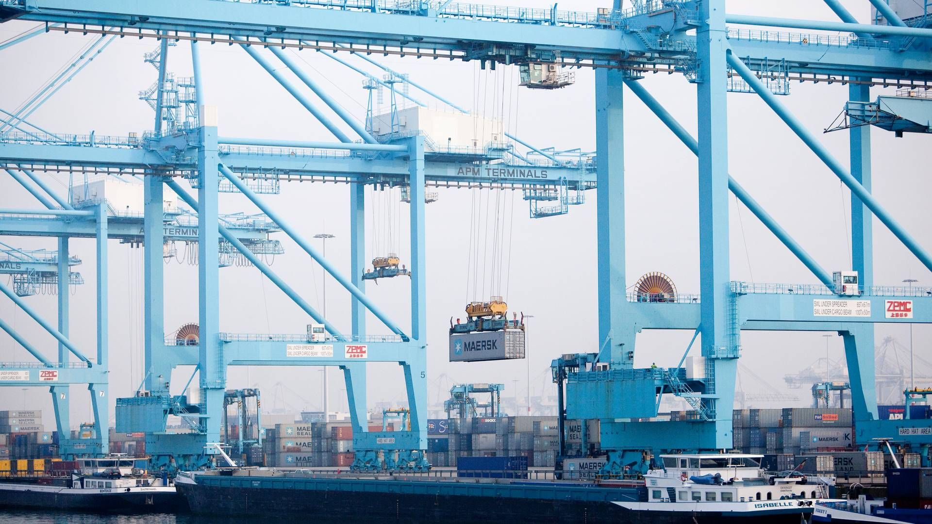Der er blandt andet blevet afsat 157 mio. euro til Rotterdam Havn, hvor planerne er at bygge en importterminal og en undervandledning. | Foto: Mie Brinkmann/Politiken/Ritzau Scanpix