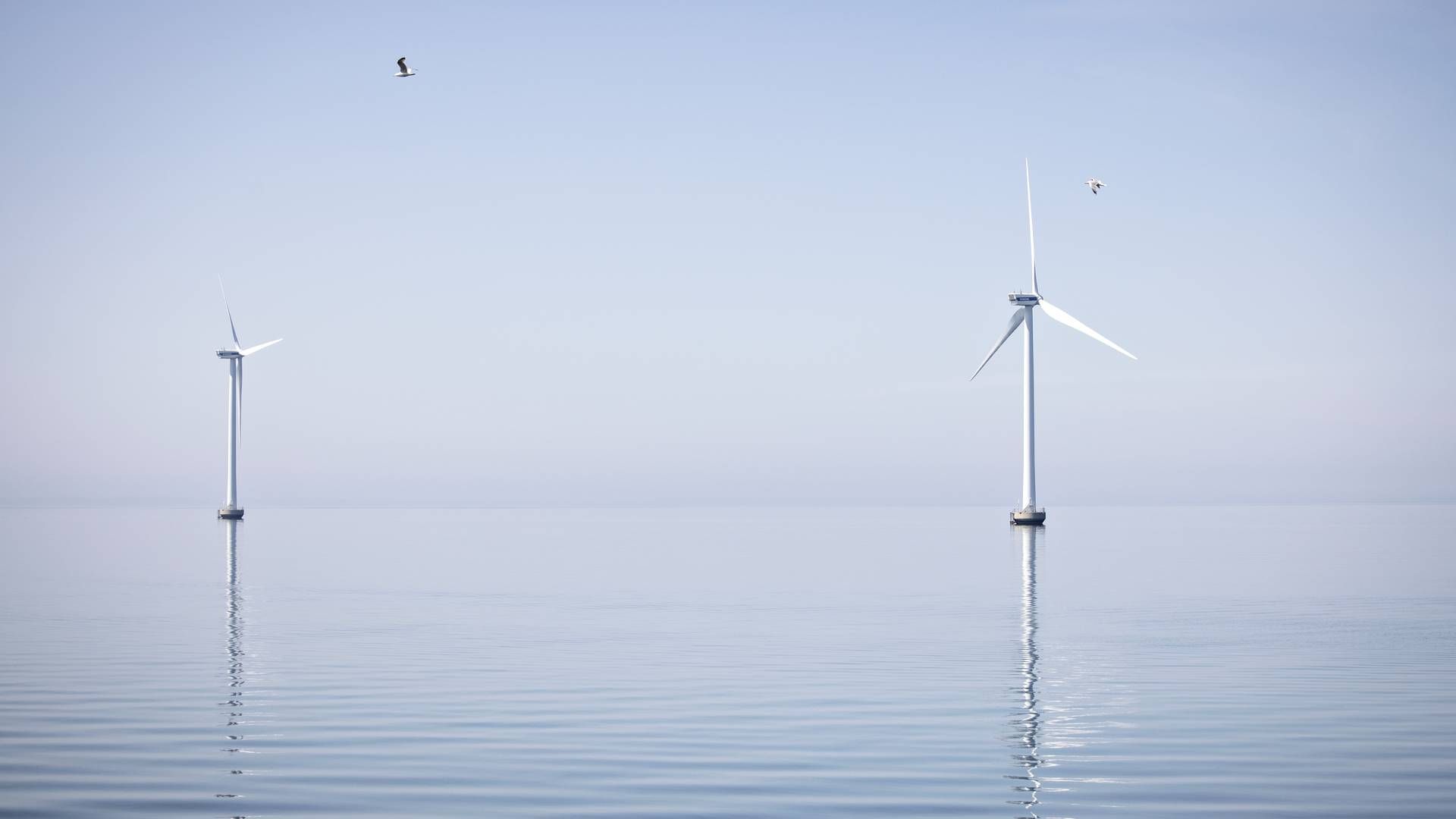 De kystnære havmøller ved Sprogø er fortsat European Energys eneste af slagsen. Efter 12 års arbejde opgiver udvikleren nu projekt syd for Skælskør. | Foto: Marius Renner