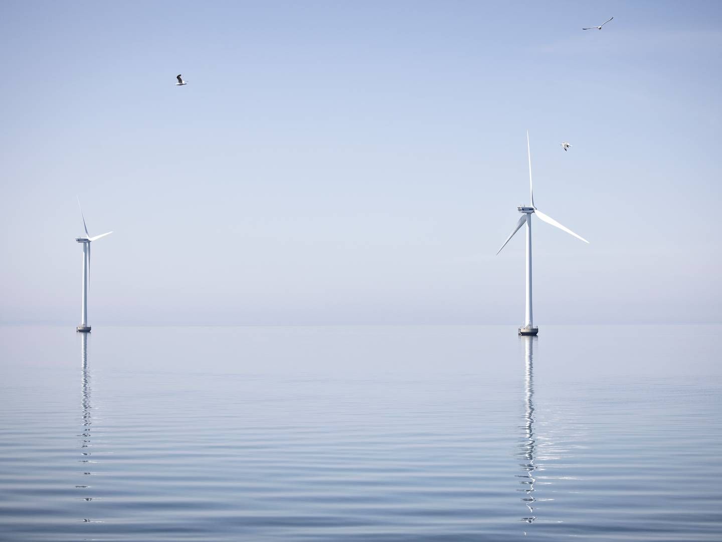 De kystnære havmøller ved Sprogø er fortsat European Energys eneste af slagsen. Efter 12 års arbejde opgiver udvikleren nu projekt syd for Skælskør. | Foto: Marius Renner