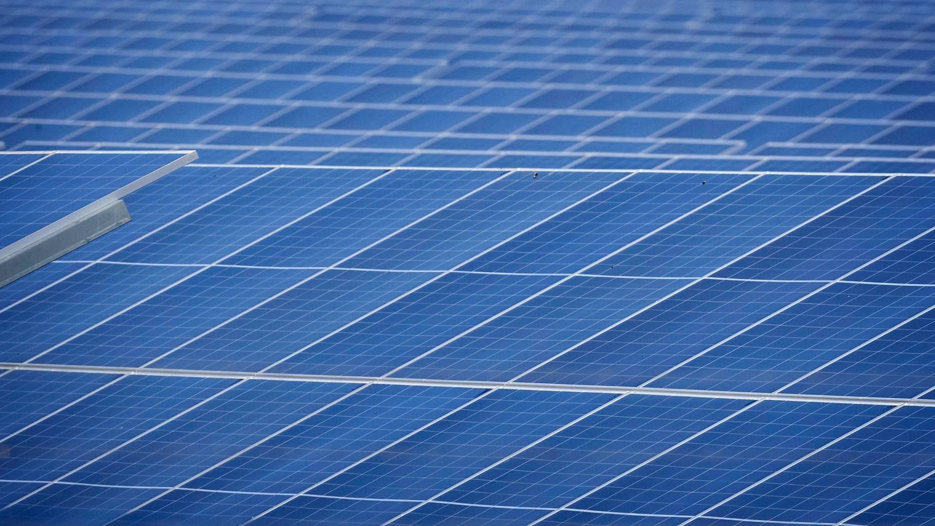 Europa producerer mindre end tre procent af de solpaneler, der er nødvendige for at nå EU’s mål for solenergi i 2030. | Foto: Jens Dresling
