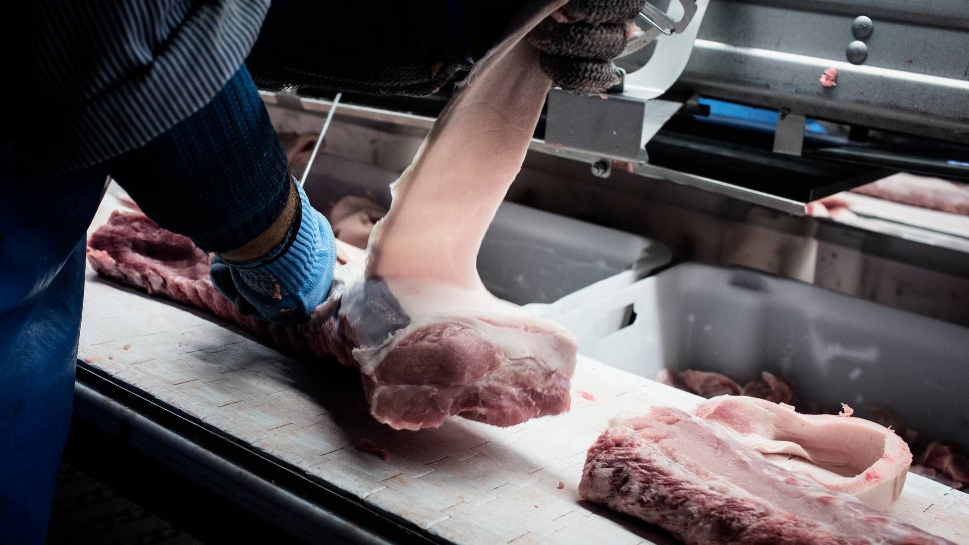 Der bliver nu to færre slagtedage ugentligt på Ticans Brørup-slagteri. Arkivfoto. | Foto: Thomas Emil Sørensen/Jyllands-Posten/Ritzau Scanpix