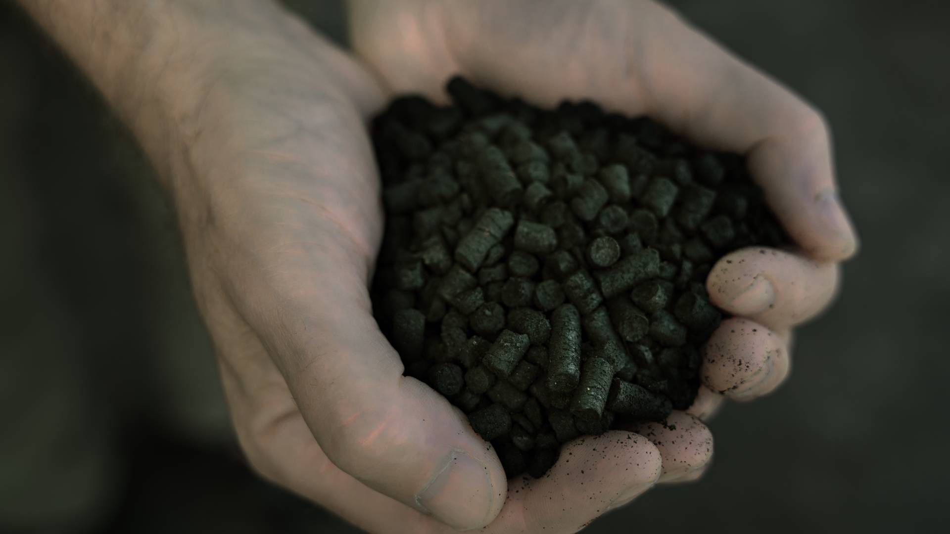 Biokul, der er fremstillet via pyrolyse, kan laves af landbrugets biomasse og binde CO2. | Foto: Nichlas Pollier/Ritzau Scanpix
