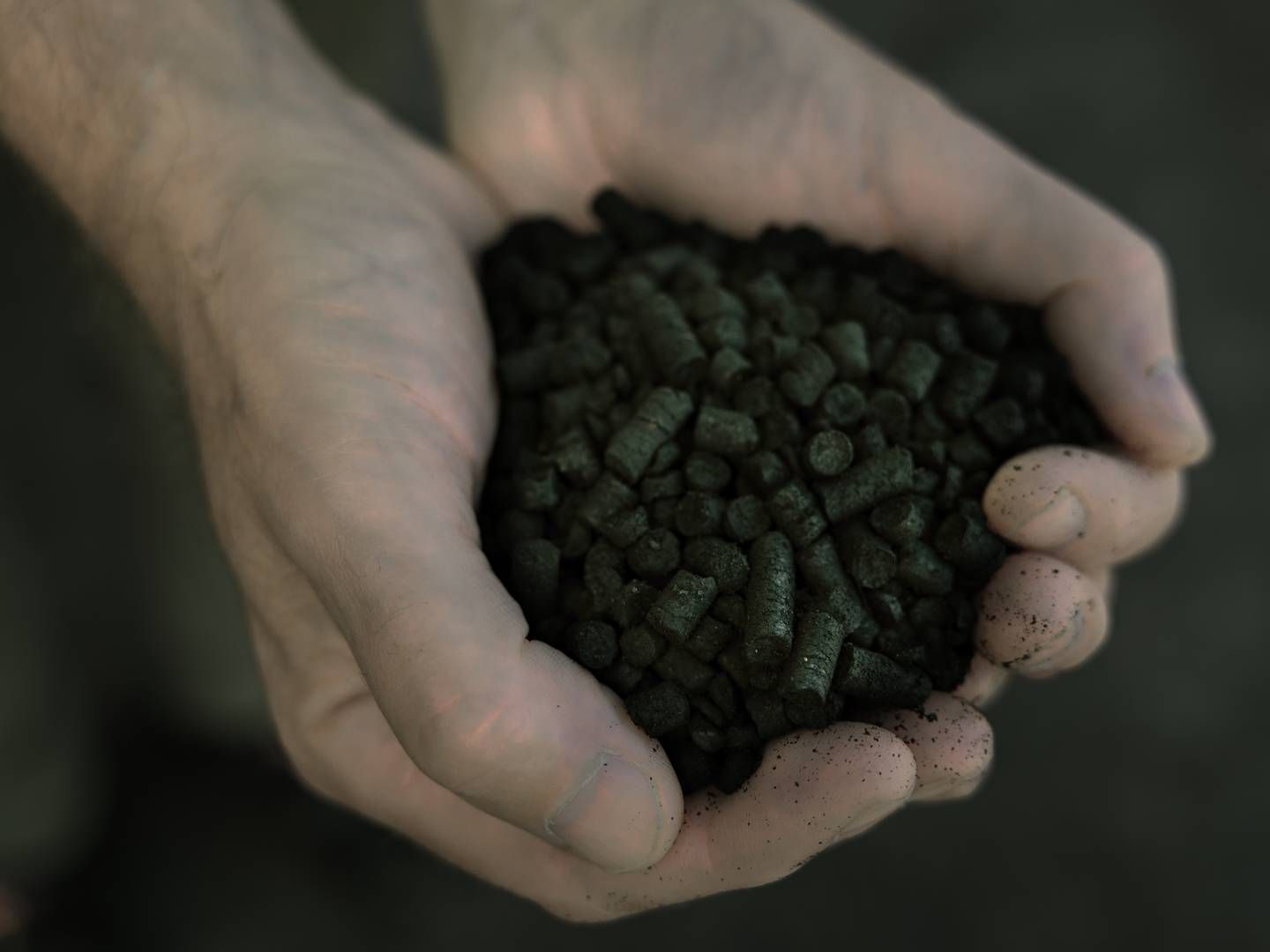 Biokul, der er fremstillet via pyrolyse, kan laves af landbrugets biomasse og binde CO2. | Foto: Nichlas Pollier/Ritzau Scanpix