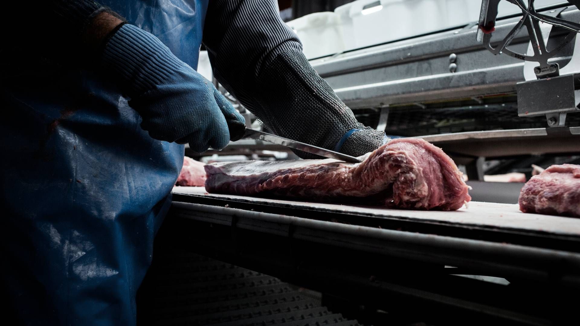 Importen af såvel dansk som internationalt produceret grisekød faldt til Kina sidste år. | Foto: Thomas Emil Sørensen/Jyllands-Posten/Ritzau Scanpix