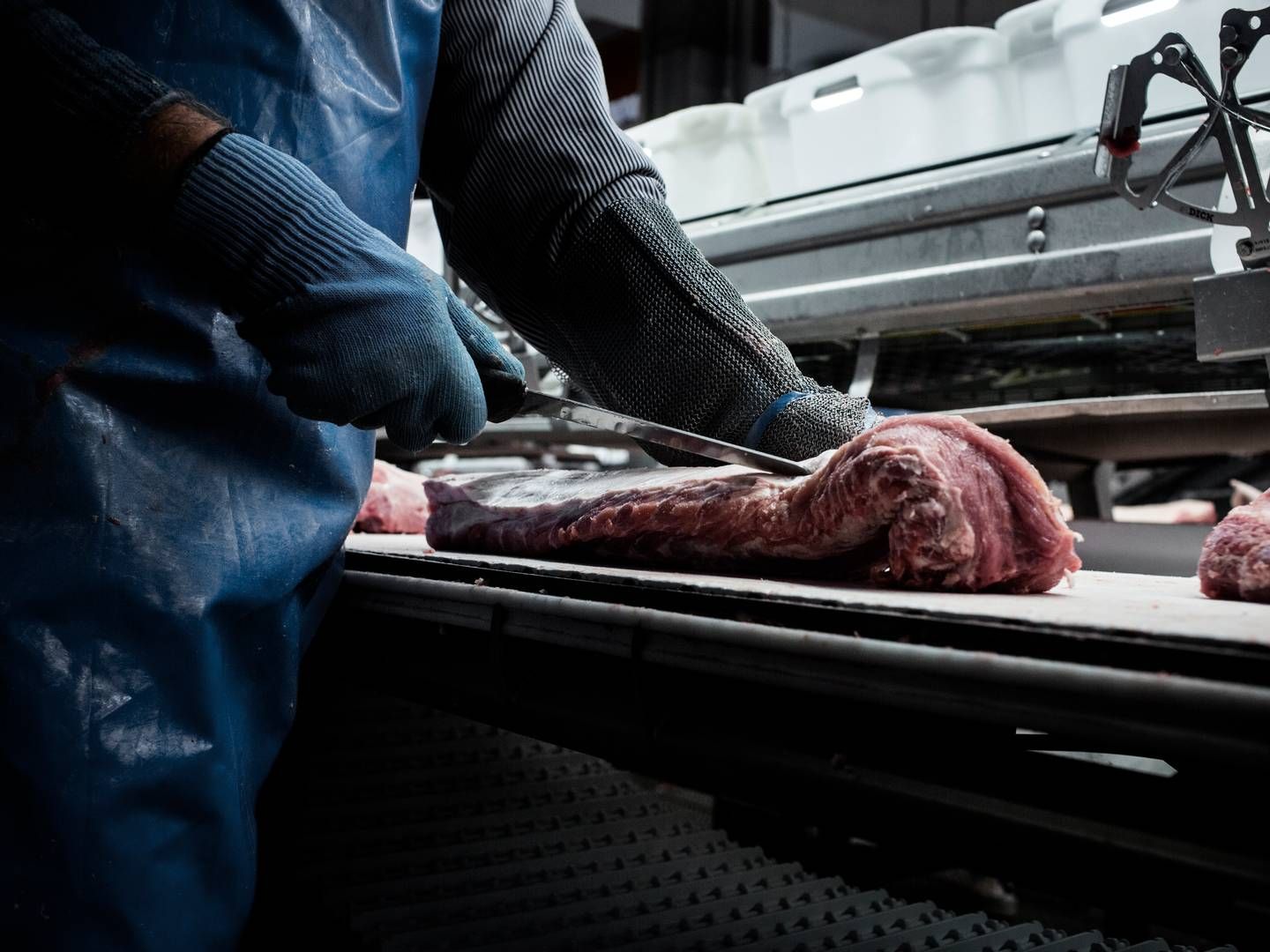 Importen af såvel dansk som internationalt produceret grisekød faldt til Kina sidste år. | Foto: Thomas Emil Sørensen/Jyllands-Posten/Ritzau Scanpix