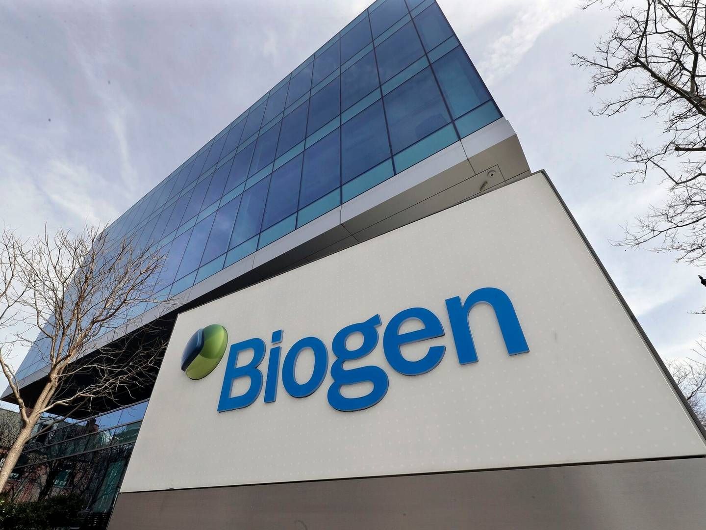 Biogen will now return the rights for the drug to its original developer. | Photo: Steven Senne/AP/Ritzau Scanpix