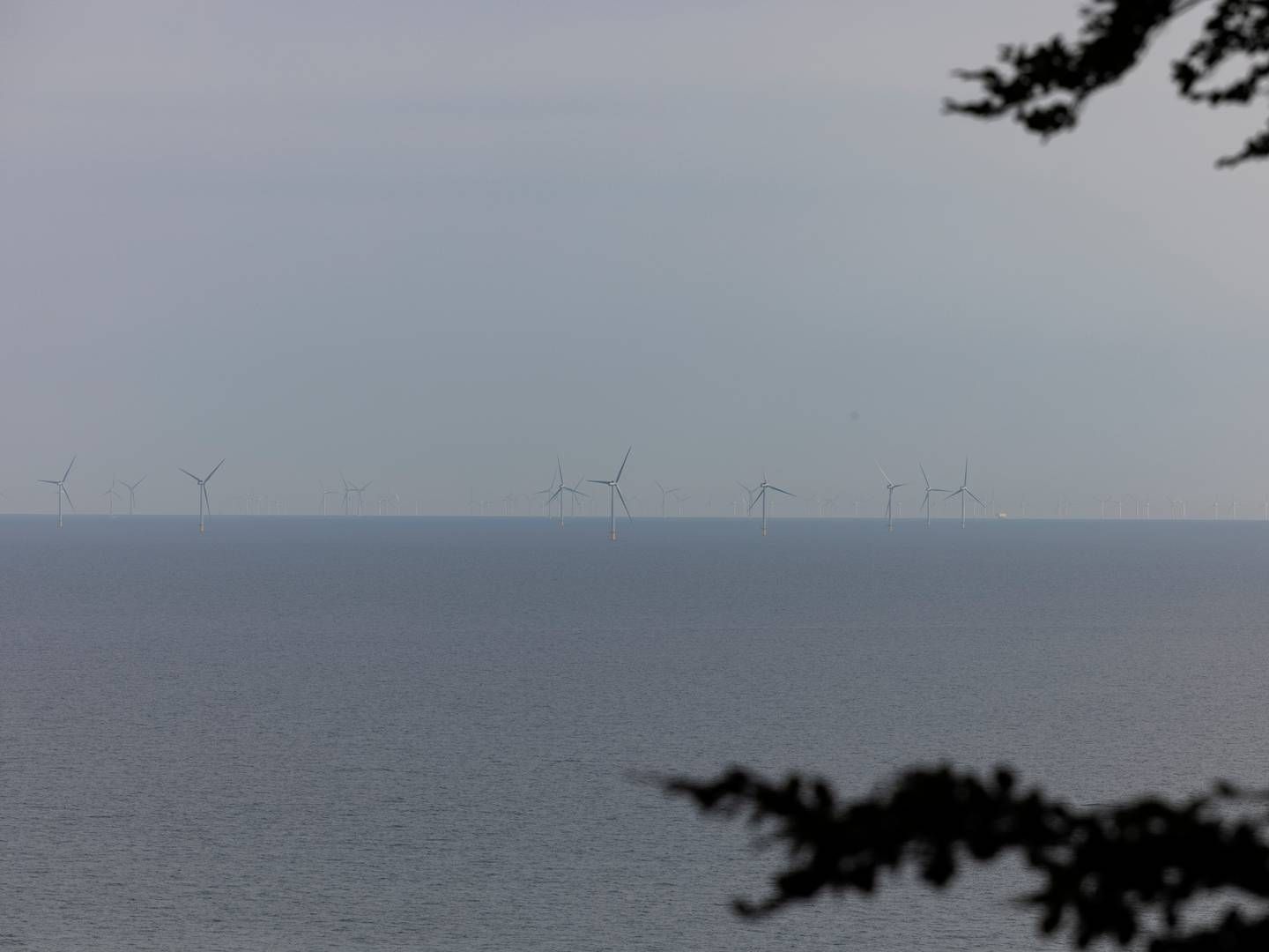 MANGLENDE TRO: De danske havvindmøllene falmer – spesielt i Øst-Danmark, hvor myndighetene ikke vurderer noen av prosjektene deres som lønnsomme. Her kan du se turbiner fra den nyeste parken, Kriegers Flak fra 2021. | Foto: Marcus Emil Christensen