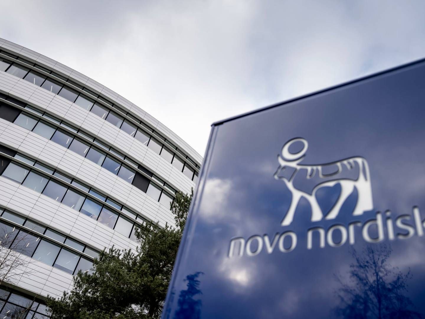 Der er brug for flere kommunikatører til at håndtere den øgede interesse for Novo Nordisk efter lanceringen af bl.a. Wegovy. | Foto: Mads Claus Rasmussen/Ritzau Scanpix