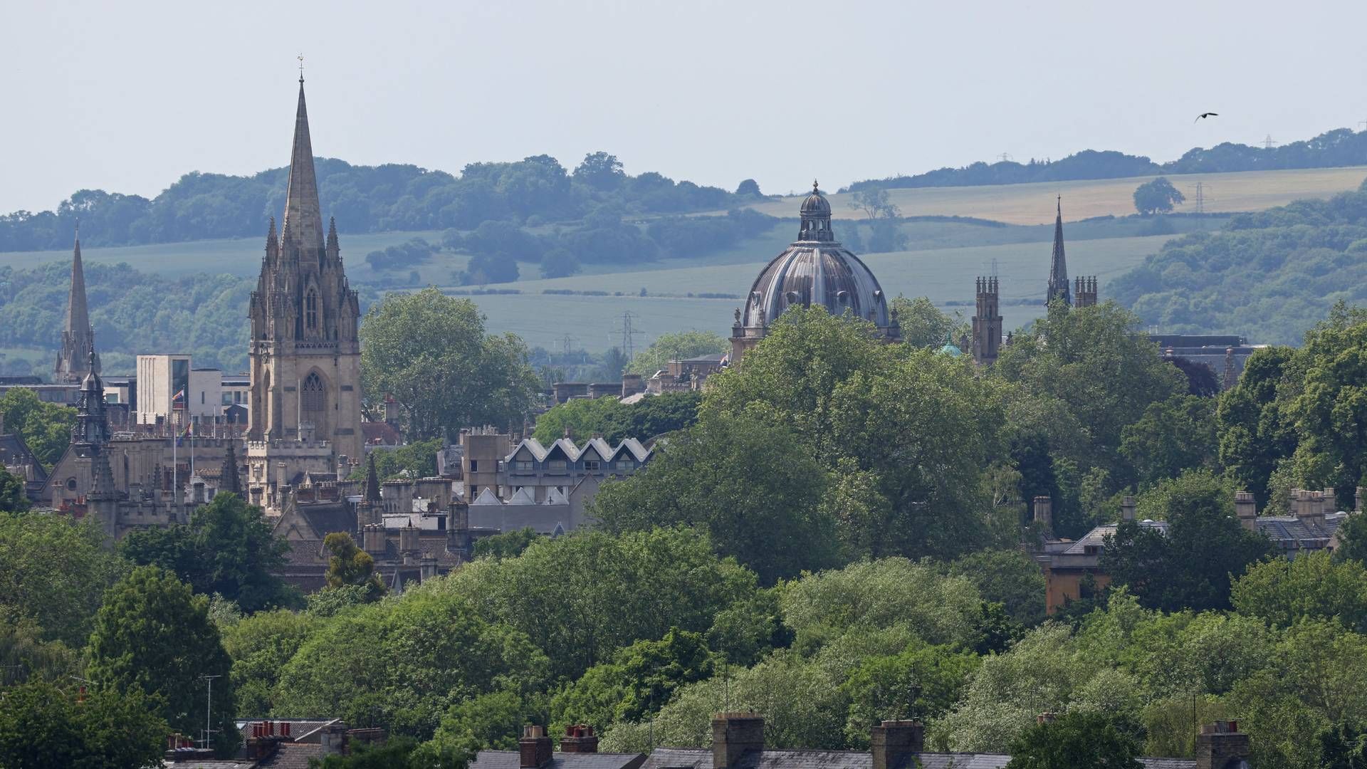 "Situationen er ved at blive rystende," siger professor Dorothy Bishop, der har sin daglige gang her på Oxford University i England. | Foto: Toby Melville/Reuters/Ritzau Scanpix