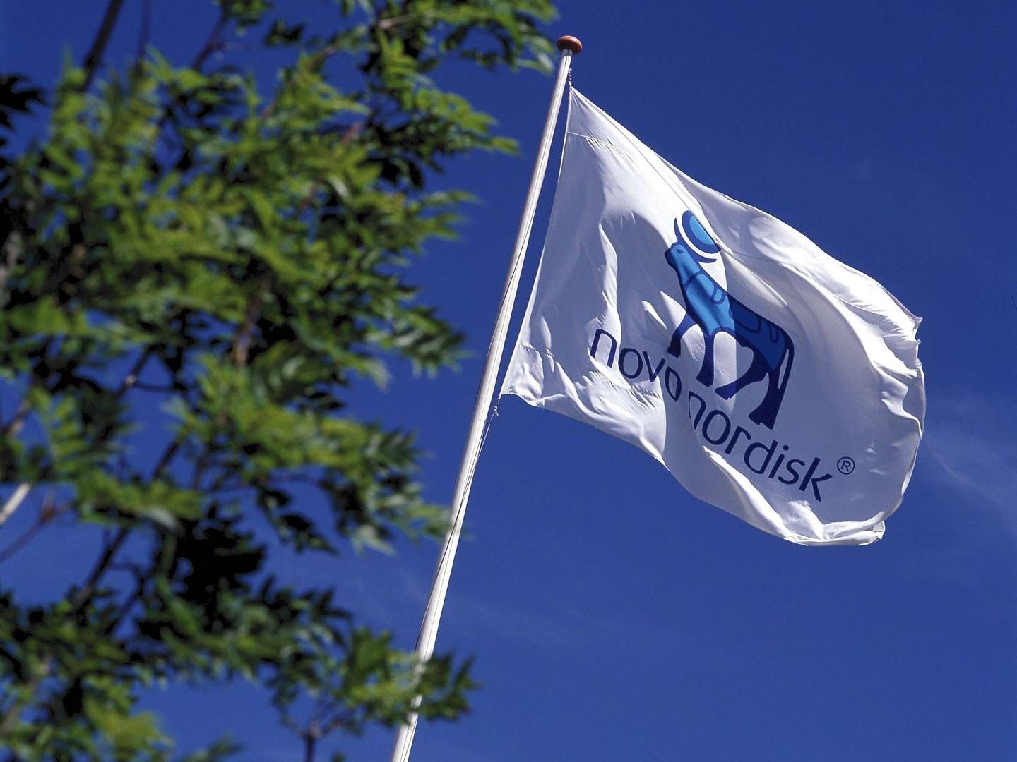 Novo Nordisk har mandag købt tre fyldefabrikker for 76 mia. kr. | Foto: Novo Nordisk / Pr