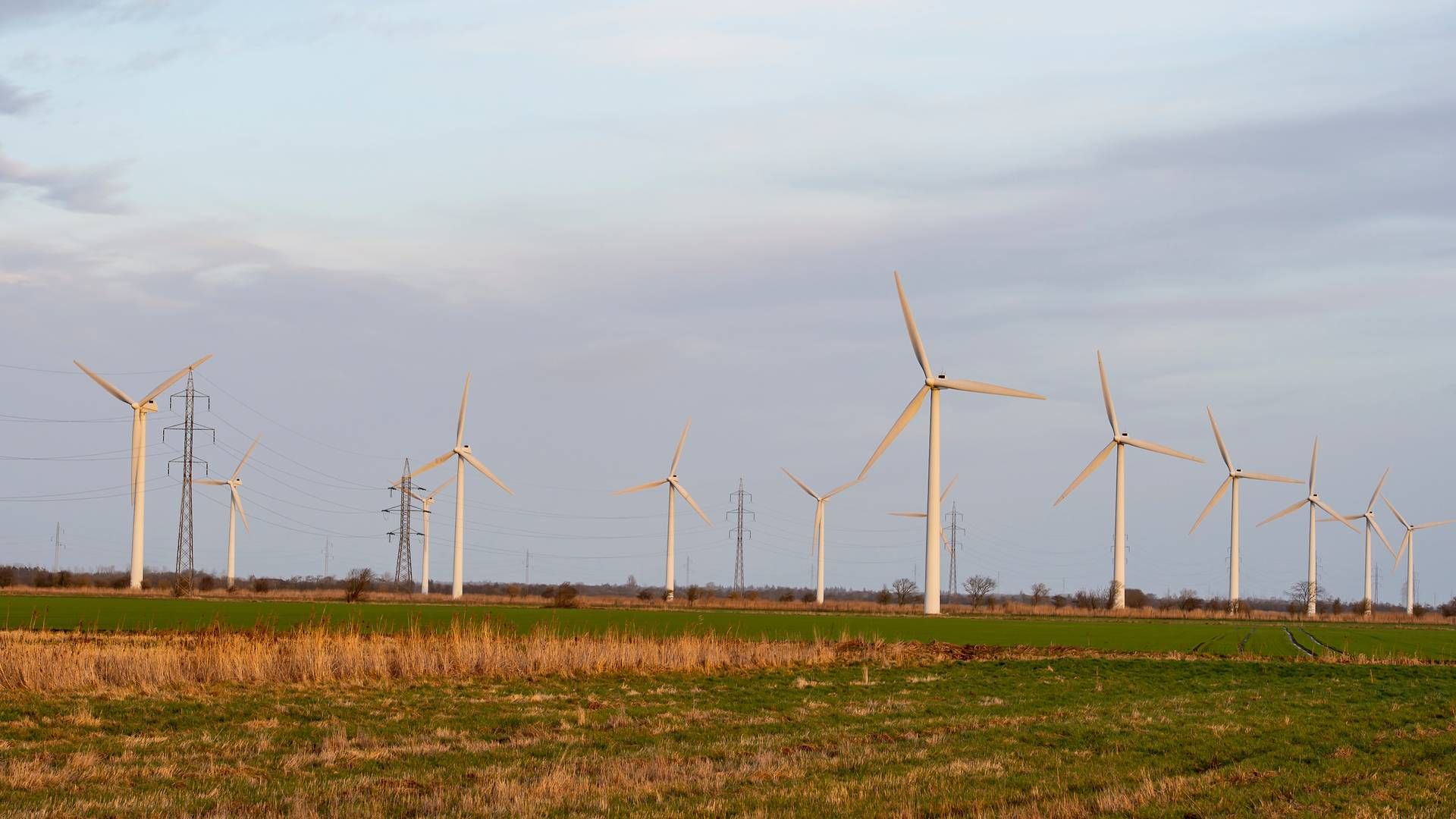 Nextera Energy Resources er førende inden for onshore-vindkraft i USA med 24 gigawatt, GW, og koncernen venter at tilføje yderligere 8 gigawatt til det tal inden for tre år. Den forventer en fordobling af kapaciteten inden 2030. | Foto: René Schütze