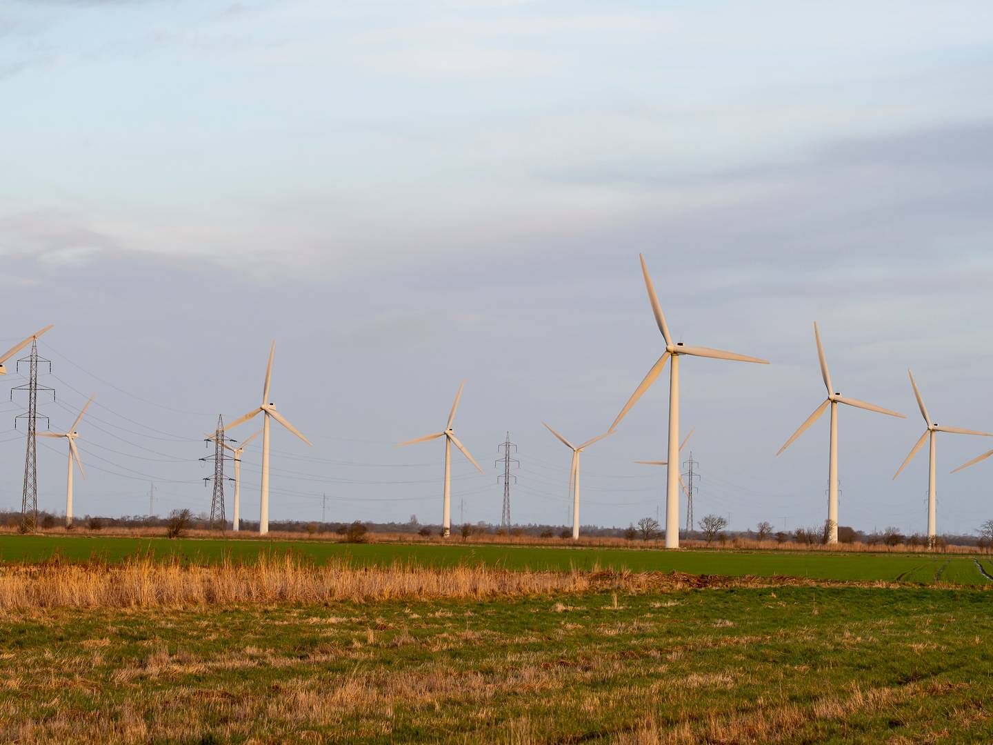 Nextera Energy Resources er førende inden for onshore-vindkraft i USA med 24 gigawatt, GW, og koncernen venter at tilføje yderligere 8 gigawatt til det tal inden for tre år. Den forventer en fordobling af kapaciteten inden 2030. | Foto: René Schütze