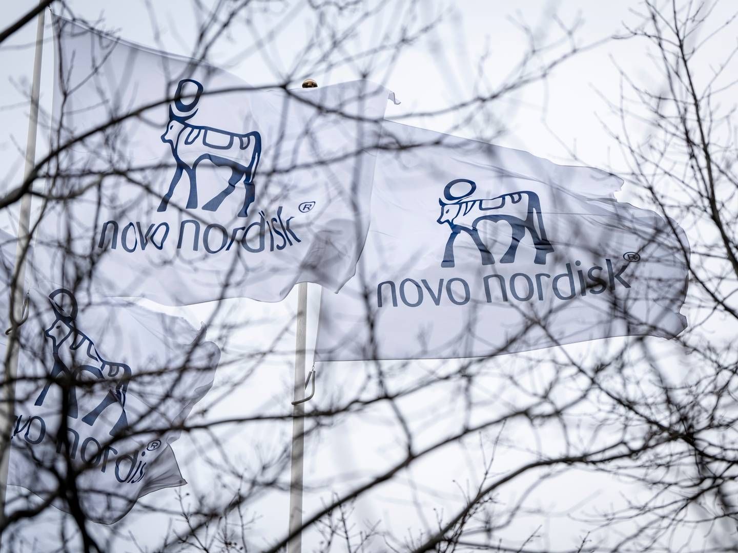 Novo Nordisk agter at betale 11 mia. dollar svarende til mere end 76 mia. kr. for tre fabrikker. | Foto: Mads Claus Rasmussen