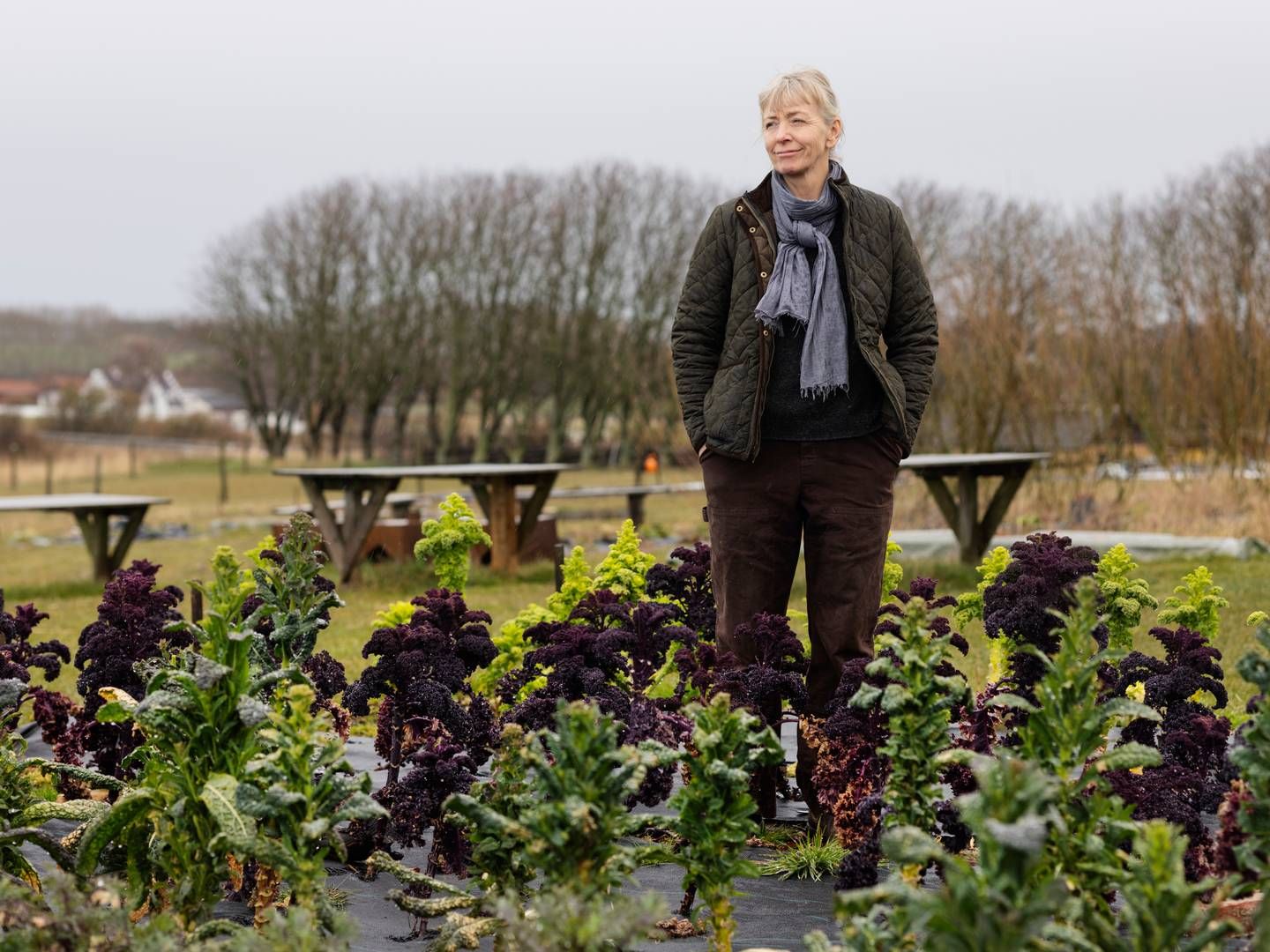 Louise Køster driver i forvejen det økologiske landbrug Rabarbergaarden. | Foto: Gregers Tycho