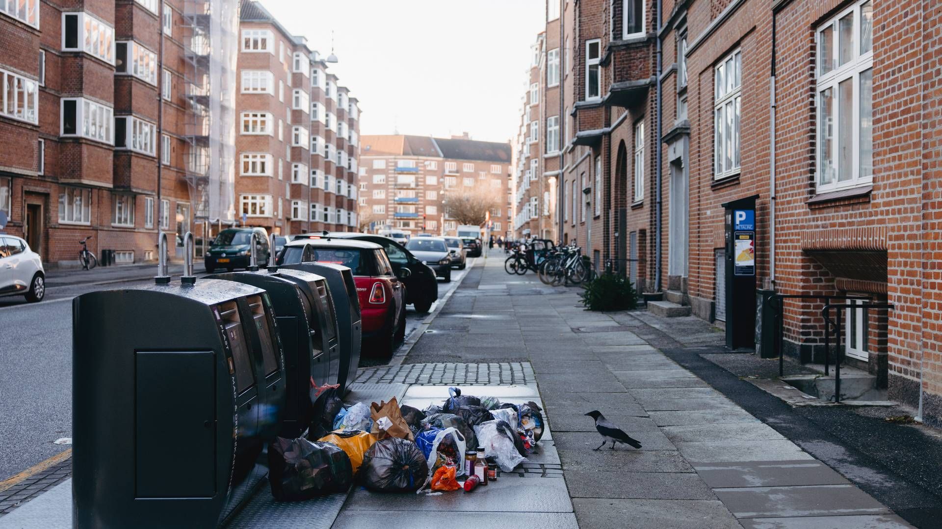 Affald havde siden julemåneden hobet sig op i Aarhus efter manglende tømning. | Foto: Emilie Toldam Futtrup