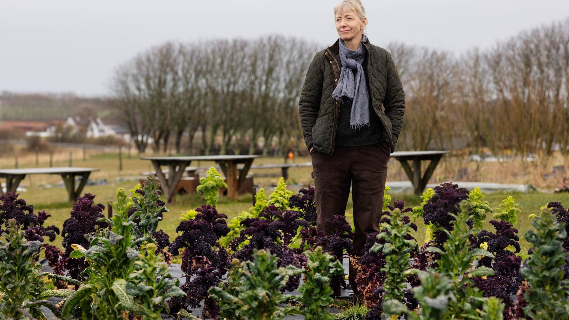 Louise Køster driver i forvejen det økologiske landbrug Rabarbergaarden. | Foto: Gregers Tycho