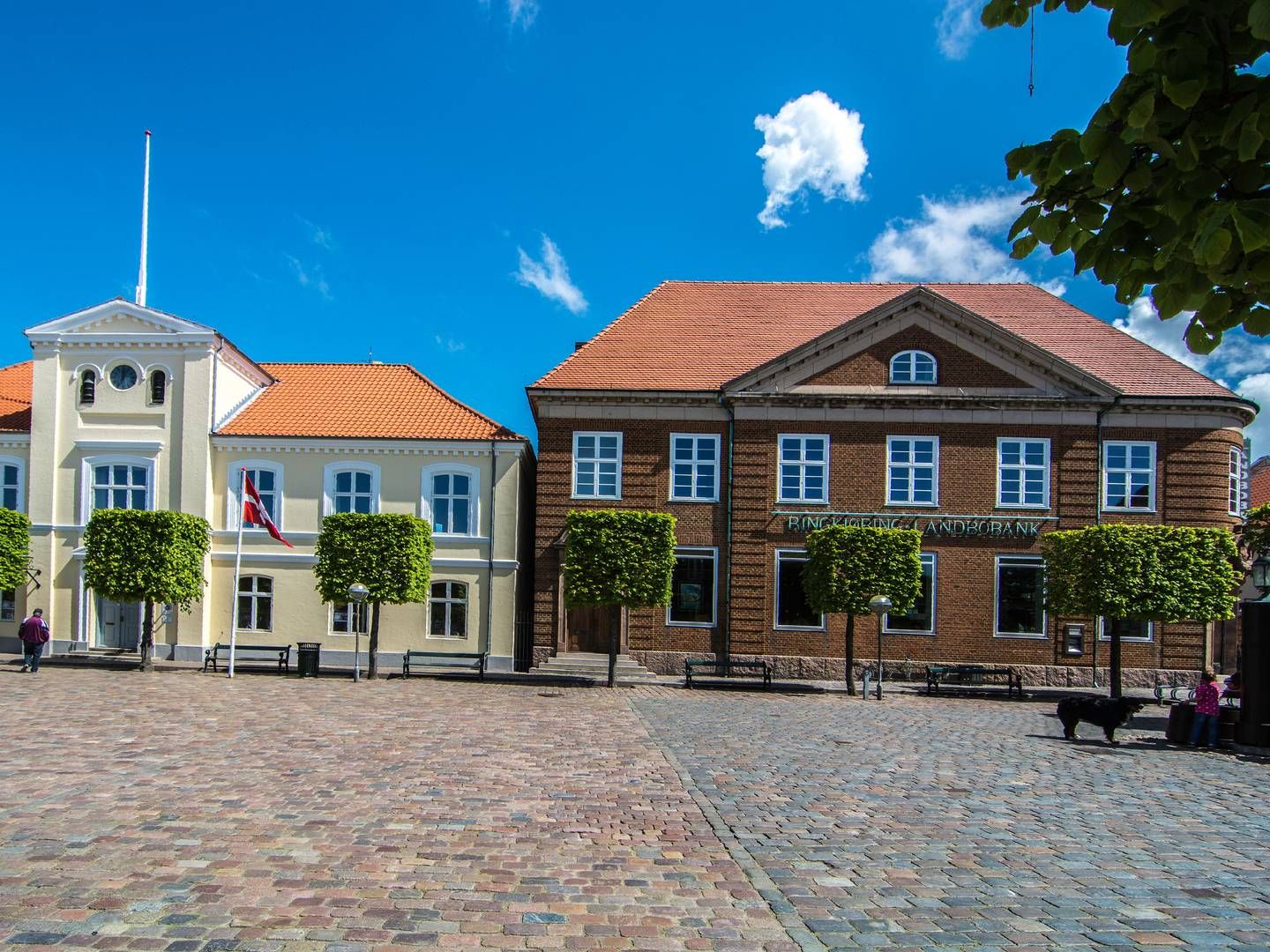 Ringkjøbing Landbobank dominerer markedet for belåning af pantebrevsporteføljer. | Foto: Ringkjøbing Landbobank / Pr