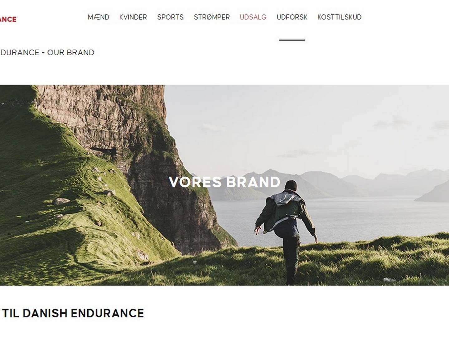 Danish Endurance blev stiftet i 2013 og sælger udelukkende sine produkter online. | Foto: Screenshot