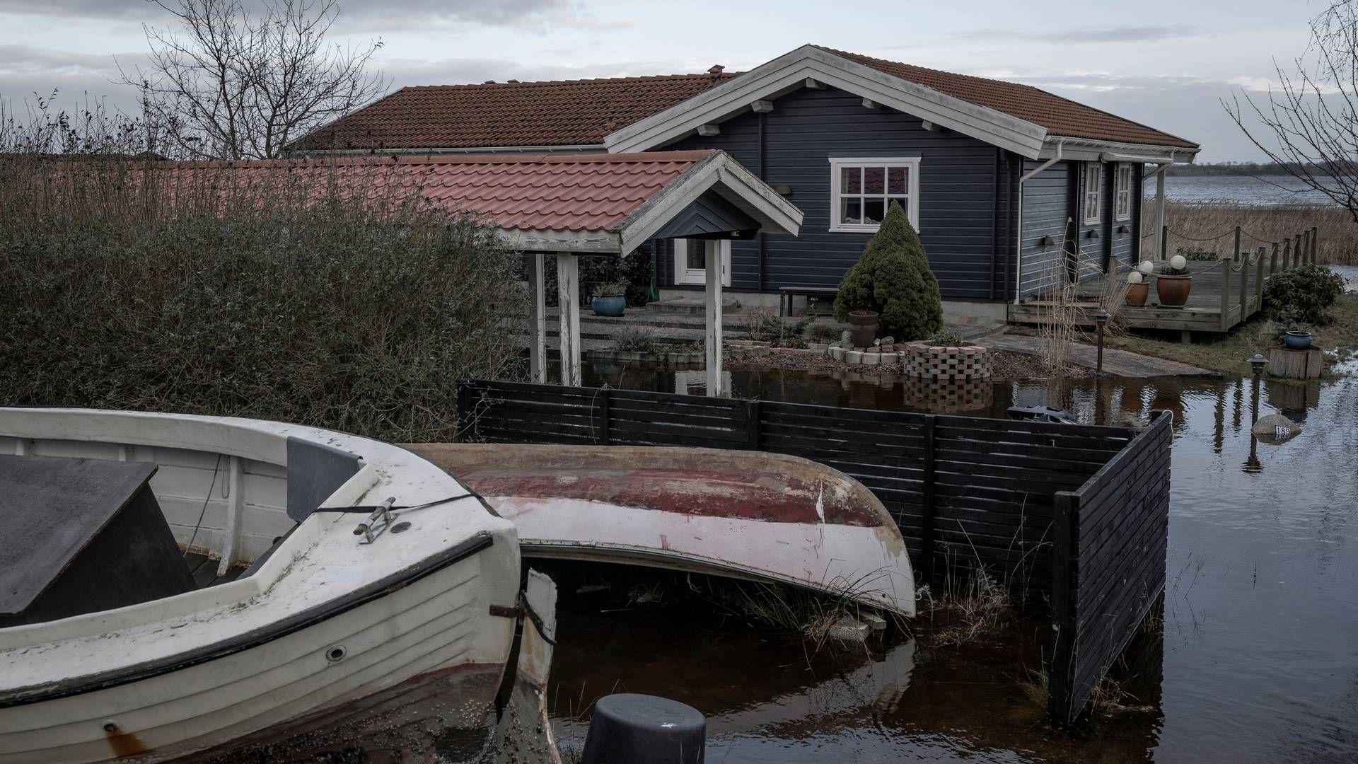 2023 bød på rekordstore mængder vand i Danmark og blev ramt af to storme - her et billede fra stormen Pia i december. | Foto: Nichlas Pollier/Ritzau Scanpix