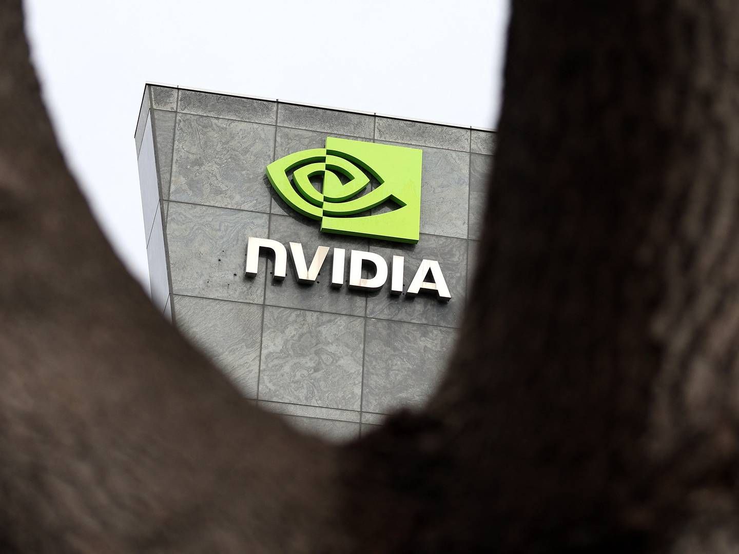 Senest har UBS løftet Nvidia-aktiens kursmål fra 580 dollar til 850 dollar. | Foto: Justin Sullivan/AFP/Ritzau Scanpix