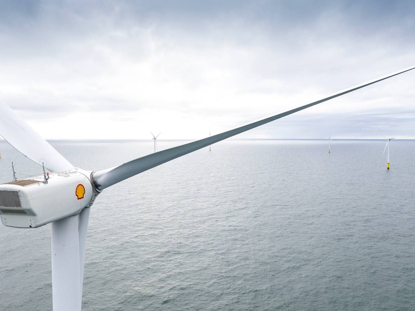 Shell er i konsortium med de to norske energiselskaber Lyse og Eviny. Shell har en andel på 60 procent, mens Eviny og Lyse hver ejer 20 procent af konsortiet. | Foto: Stuart Conway/ Shell