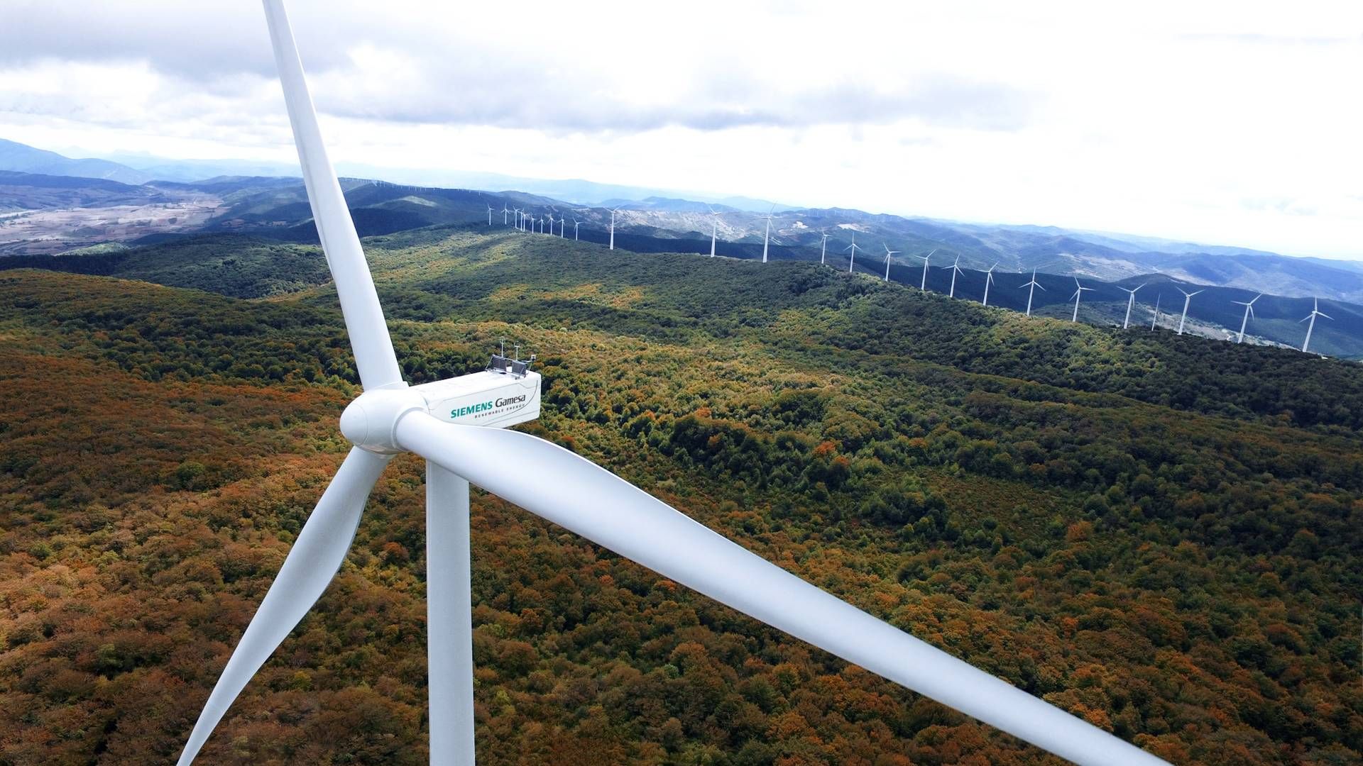 Forretningsmodellen i Grøn Brint går på at udnytte vindmøllestrømmen bedre | Foto: Siemens Gamesa