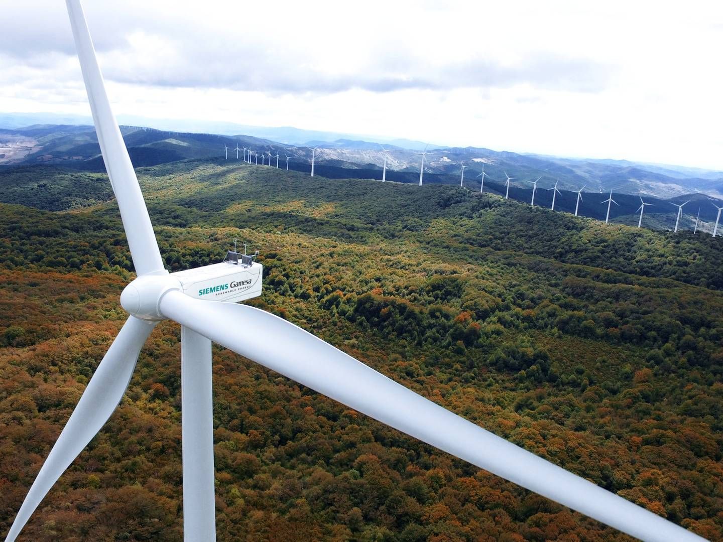 Forretningsmodellen i Grøn Brint går på at udnytte vindmøllestrømmen bedre | Foto: Siemens Gamesa